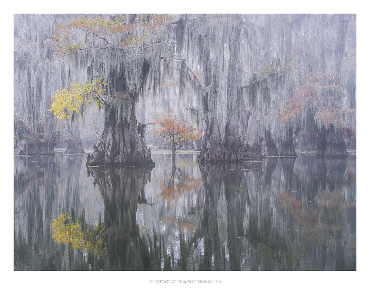 _DSF6395 Fog_2  Web.jpg