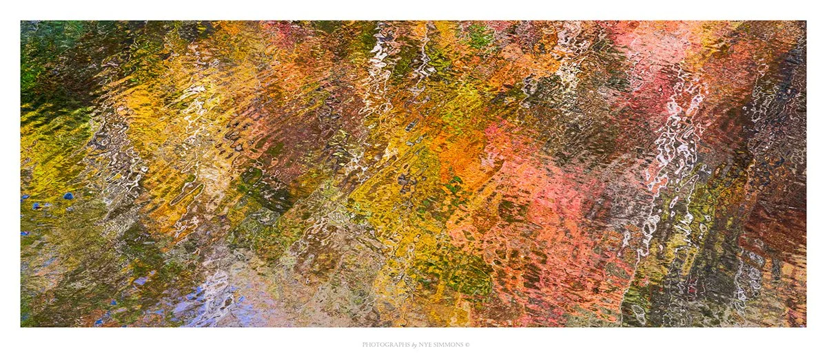 _NYE5699 215 reflections pan copy.jpg