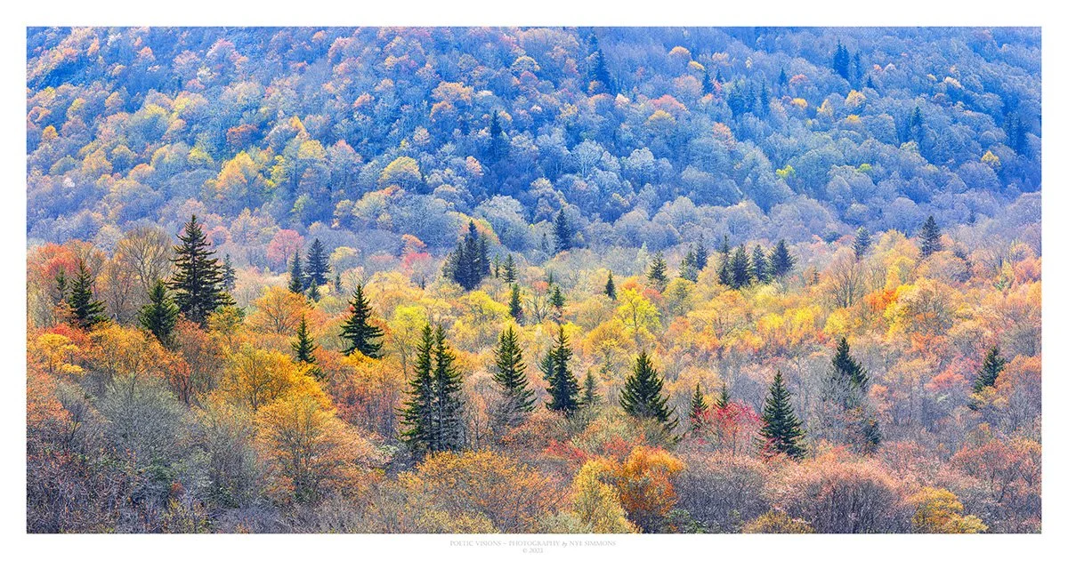 _DSF2119  graveyard  30x60 copy.jpg