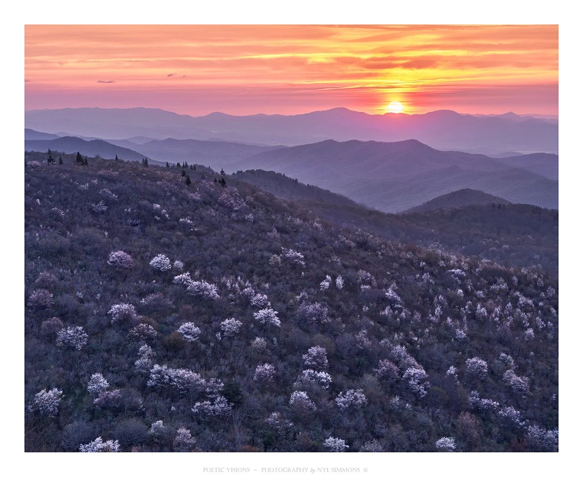 _DSF3405 GYF_1 sunrise  slide show.jpg