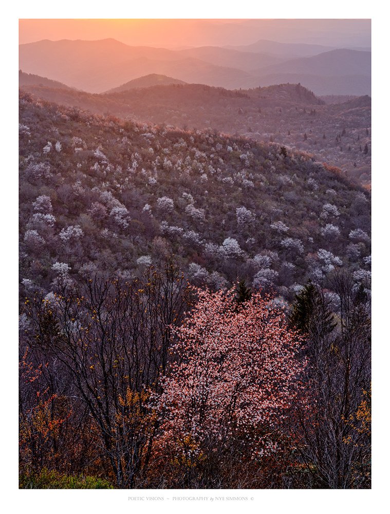 _DSF3414 GYF_3 sunrise V  slide show.jpg