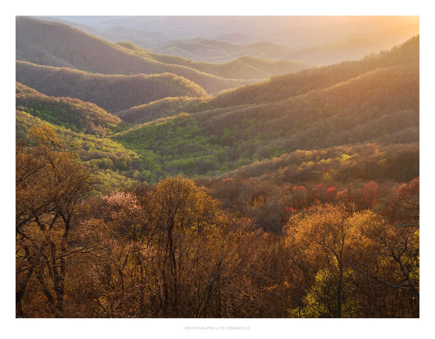 _DSF0420valley glow  WS page.jpg