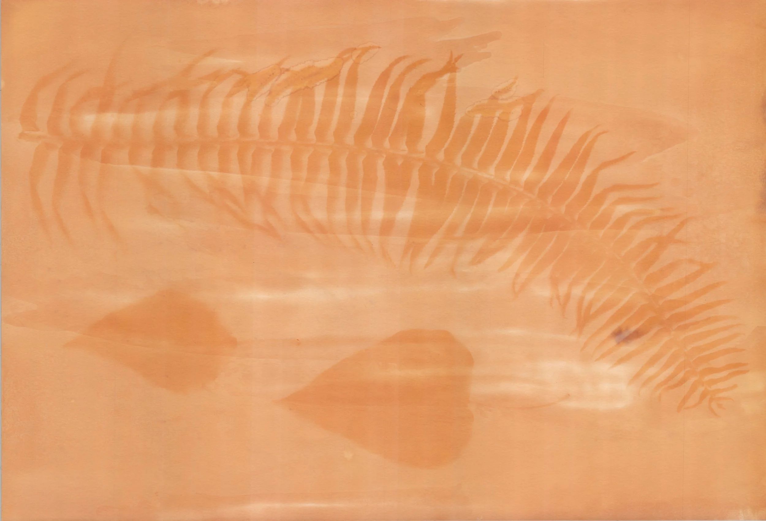Turmeric Sun Printing — Jazmine Rose Art