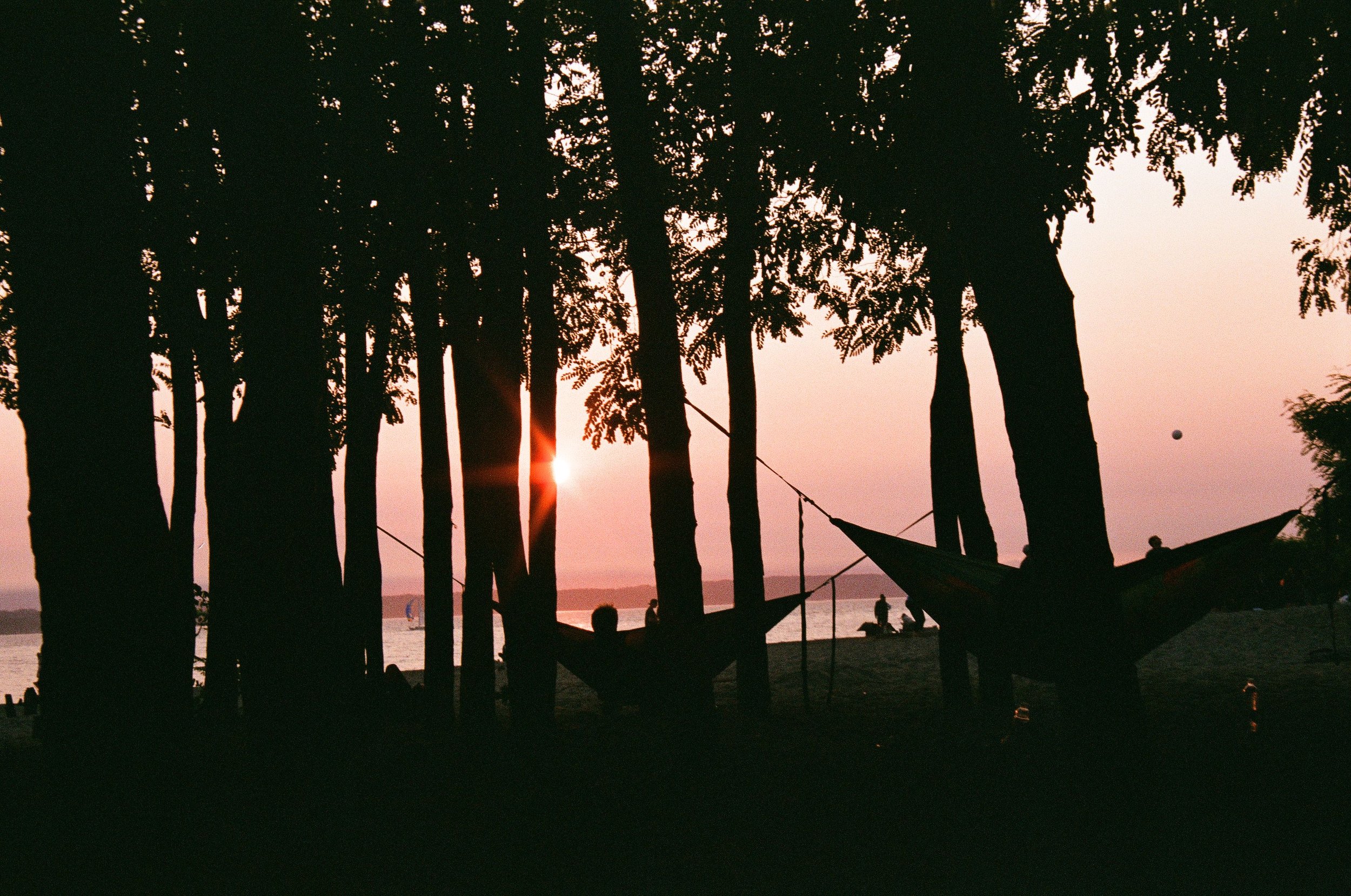 scan8457.jpg