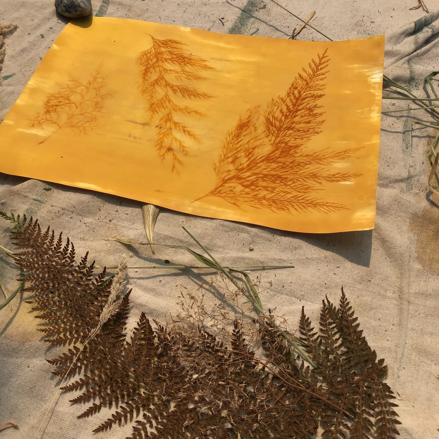 Turmeric Sun Printing — Jazmine Rose Art