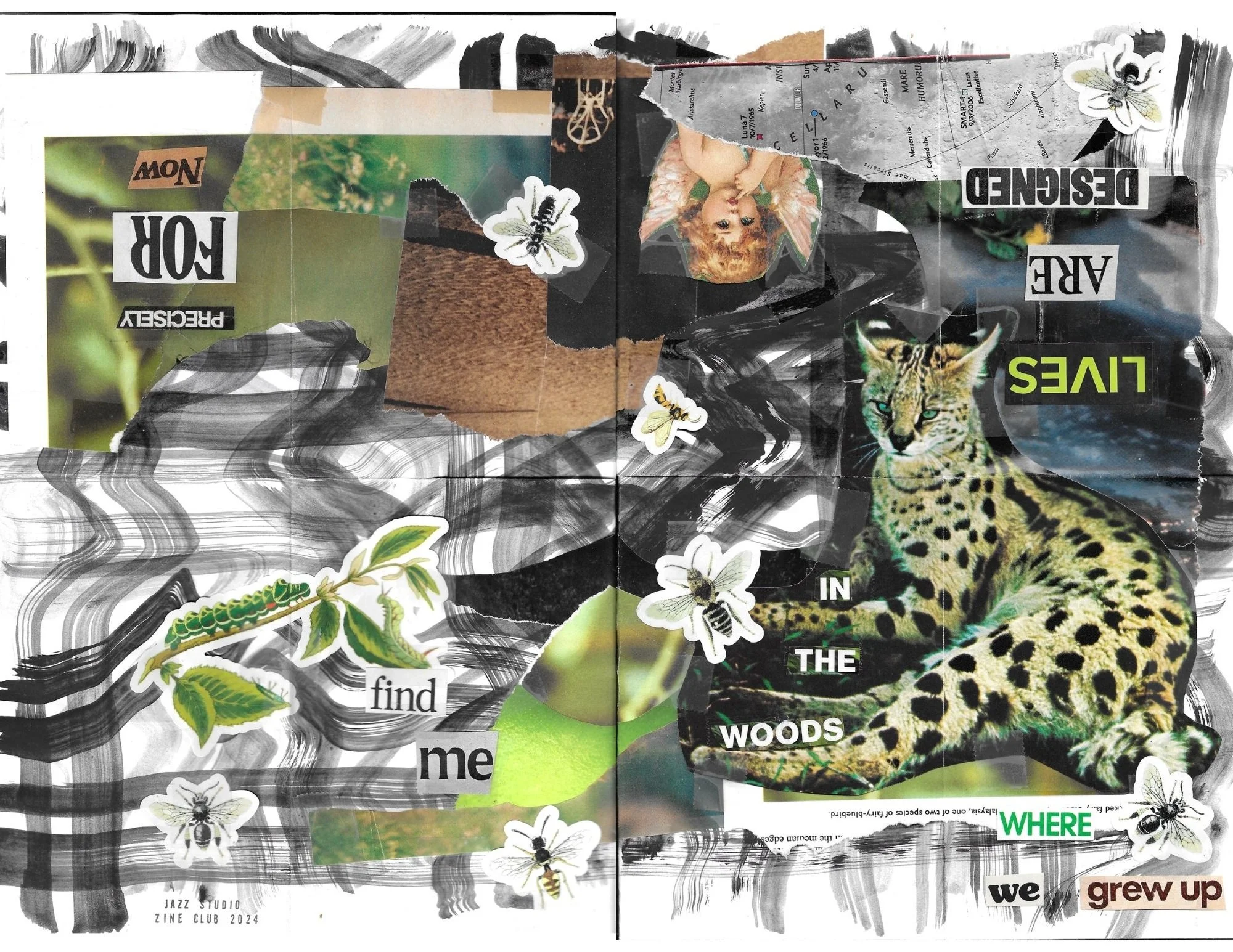 Find Me in the Woods Zine