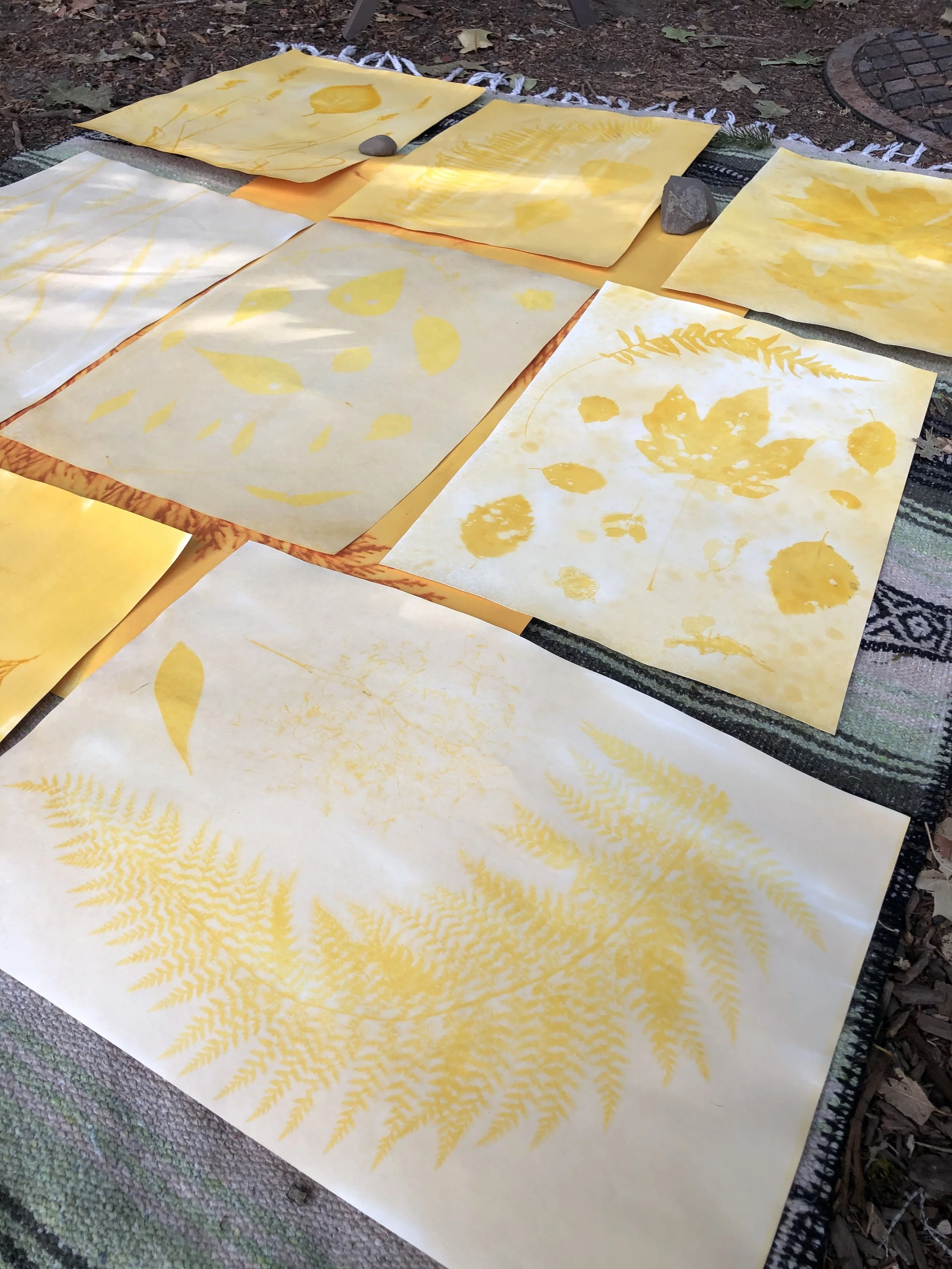 Turmeric Sun Printing — Jazmine Rose Art