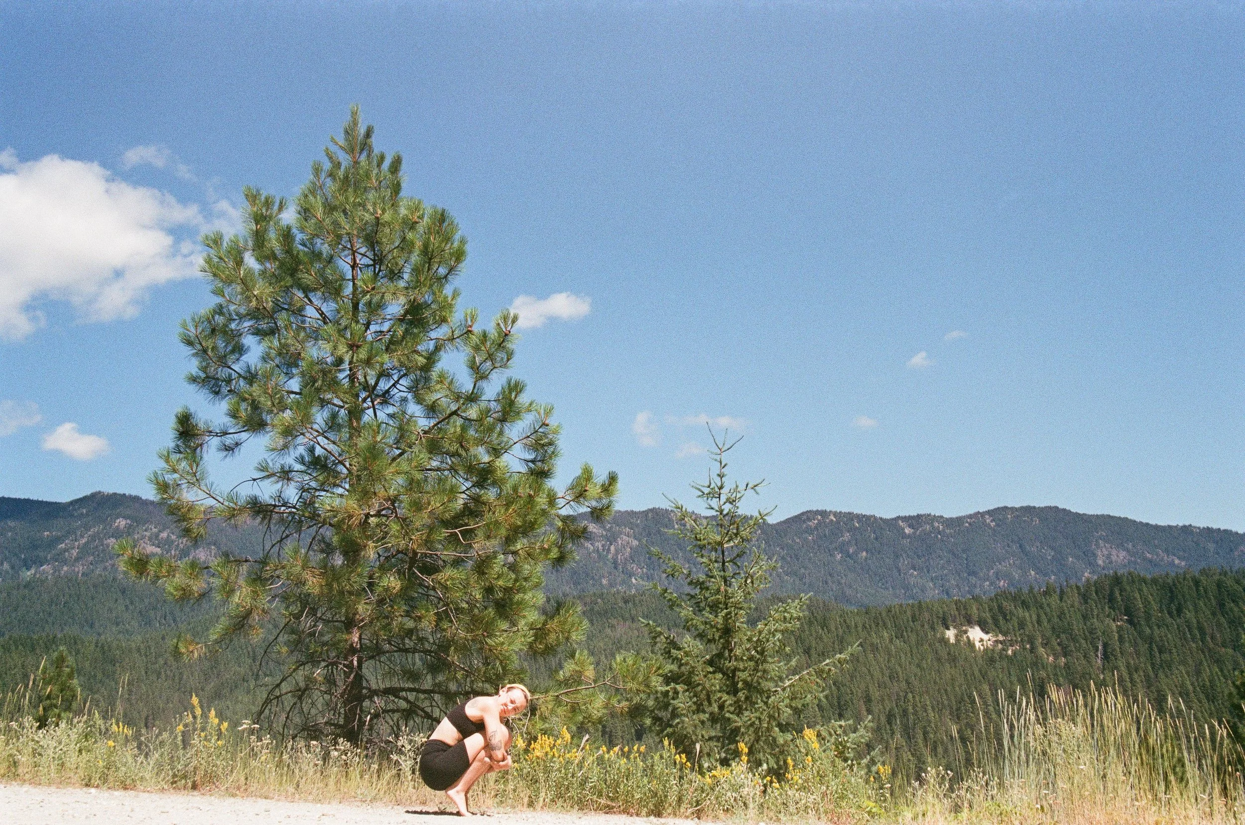 Scan8462.jpg