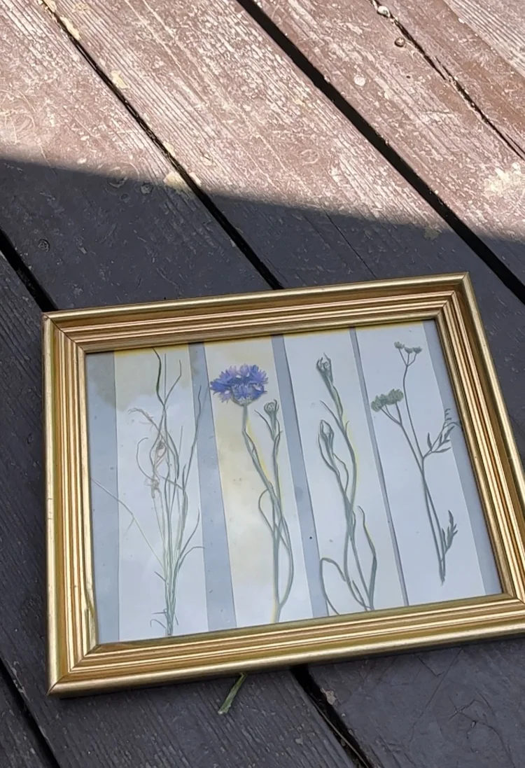 Turmeric Sun Printing — Jazmine Rose Art