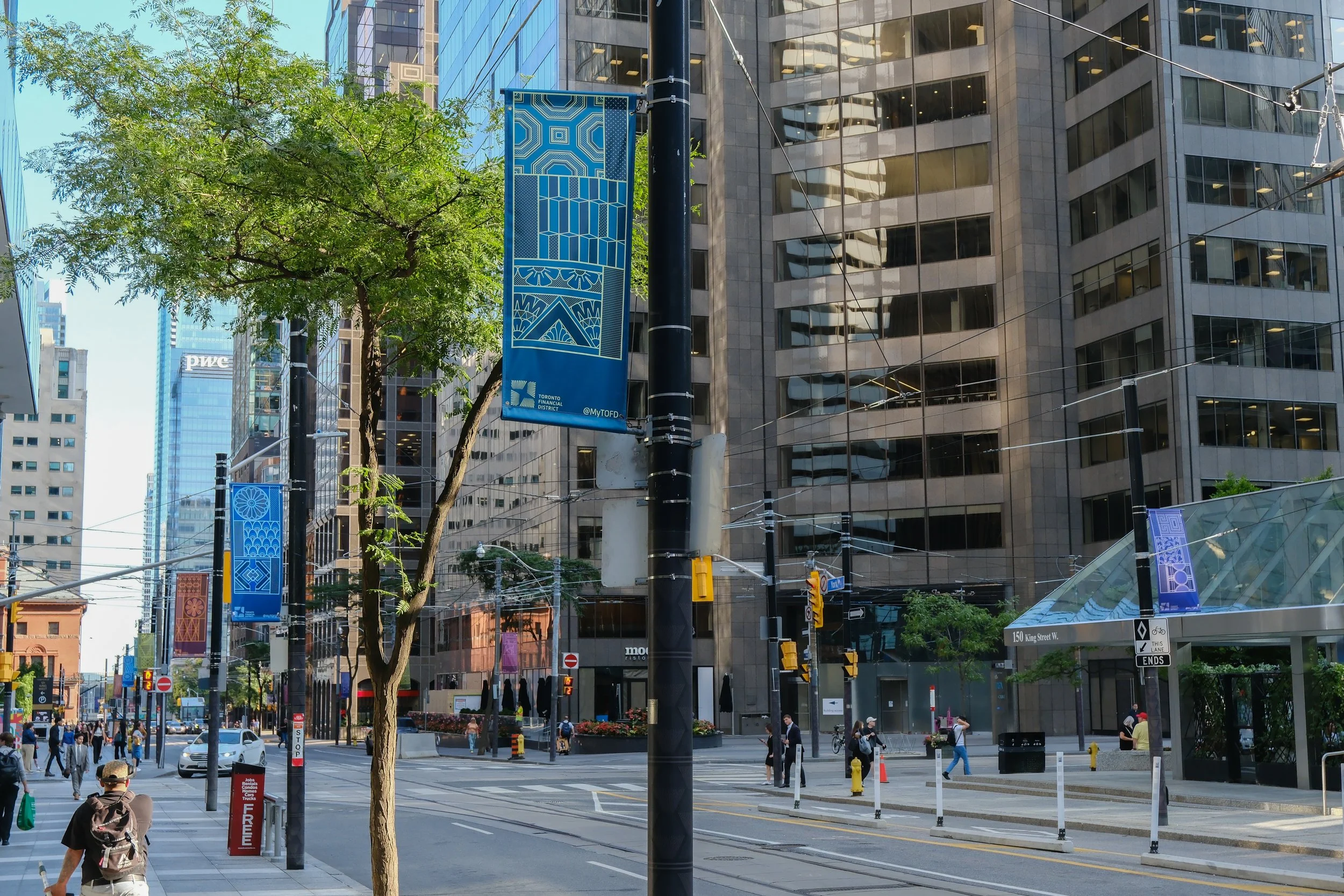 Banners and trees on York St.