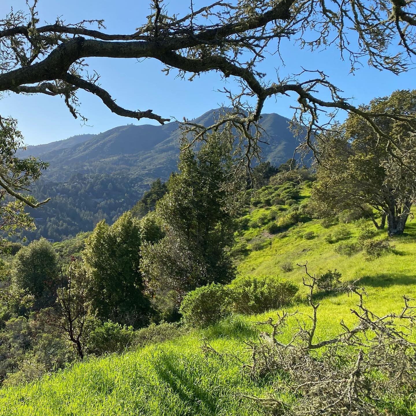 Here&rsquo;s a story about turning lemons into lemonade:
Five weeks ago, my husband fractured his hand mountain biking&mdash;I was worried that he was going to go bat-shit crazy not being able to do the things he does to keep sane (biking, skiing, ro