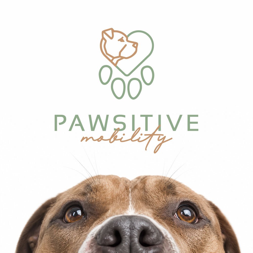 Pawsitive Mobility<p>Branding </p> <span>Branding</span>