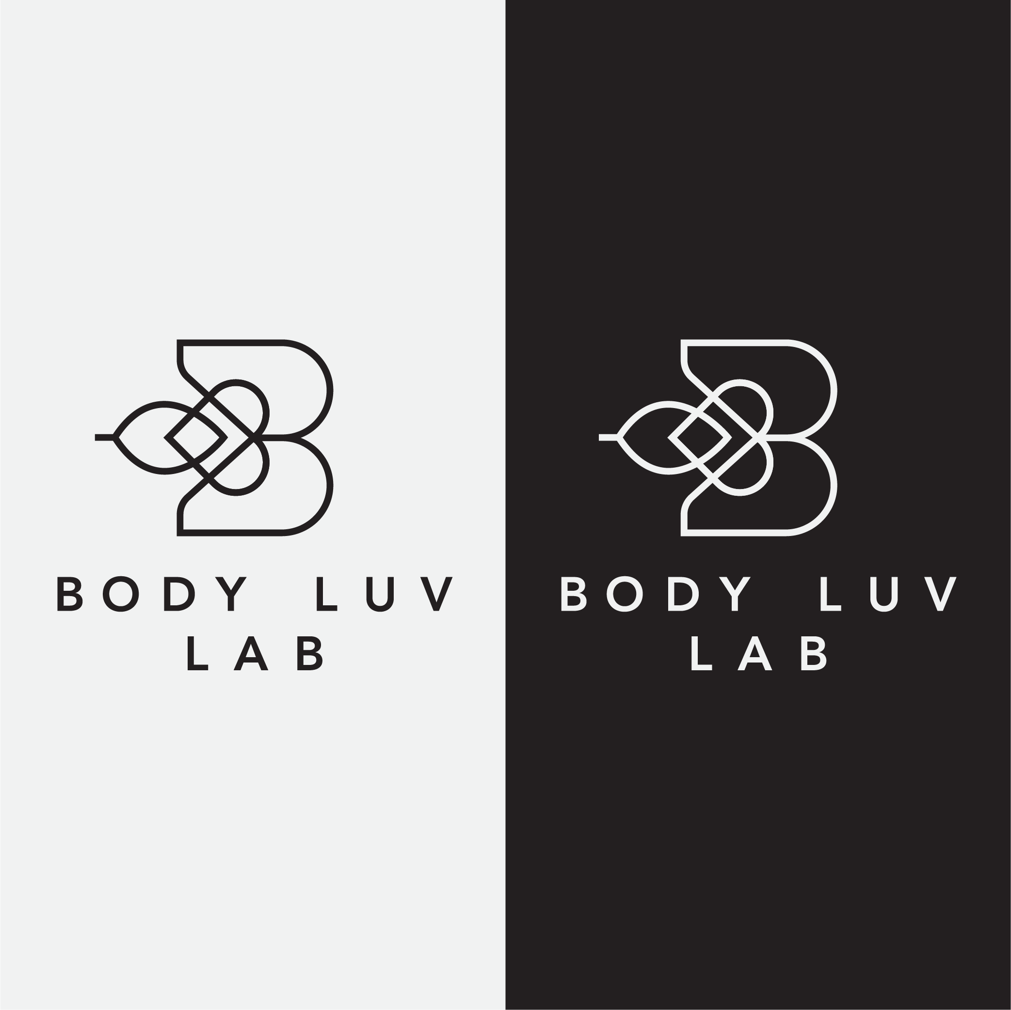 professional logo design for vancouver company made by lucied studio