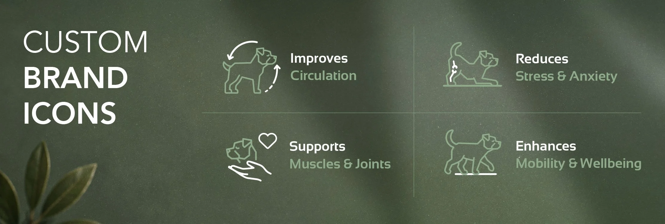 pawsitive mobility icons design and branding by lucied studio vancouver