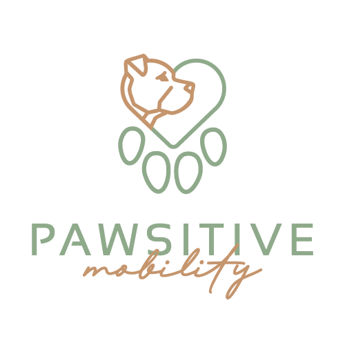 logo and branding design for dog massage vancouver