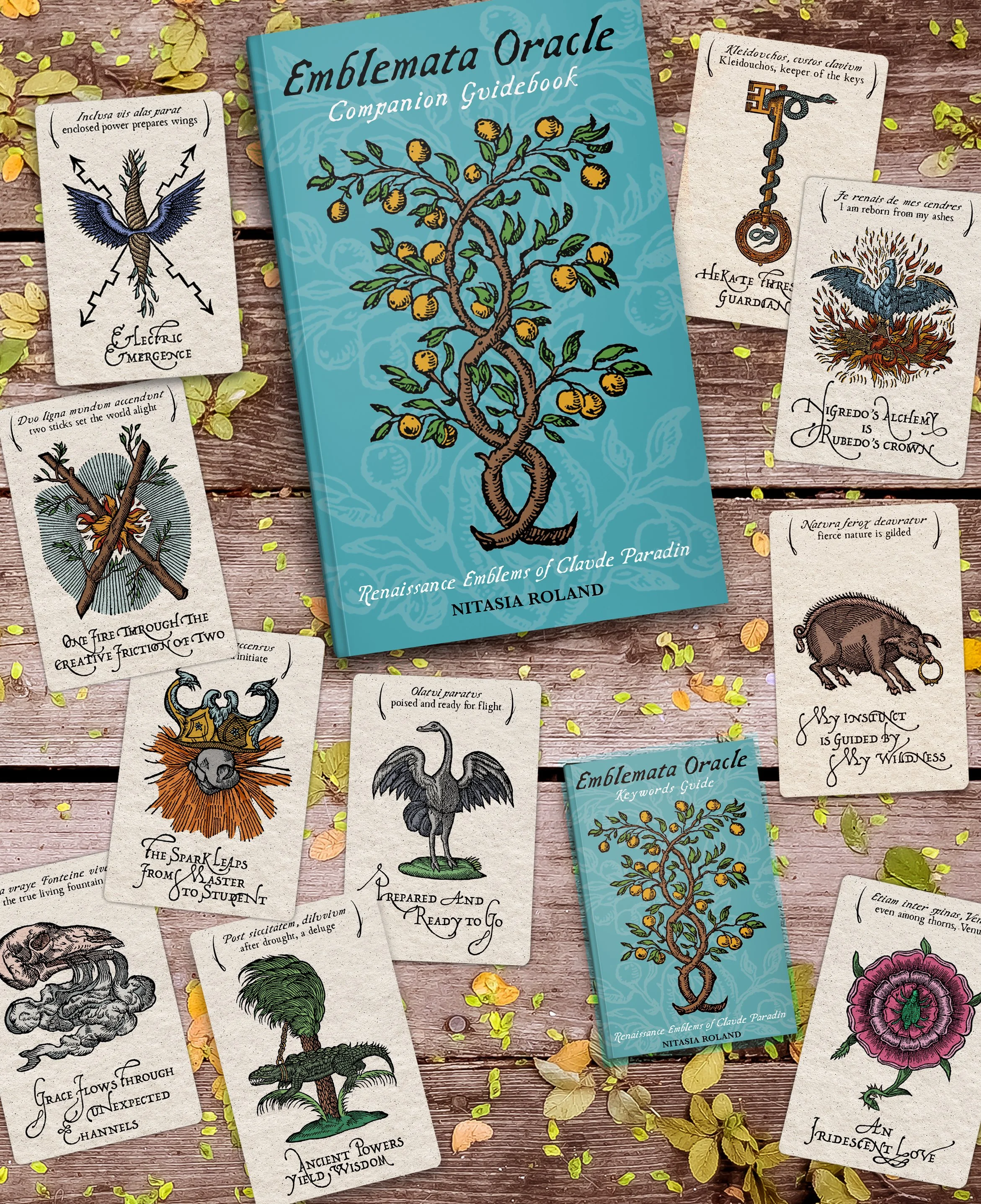 booklet:Softcover:cards.jpg