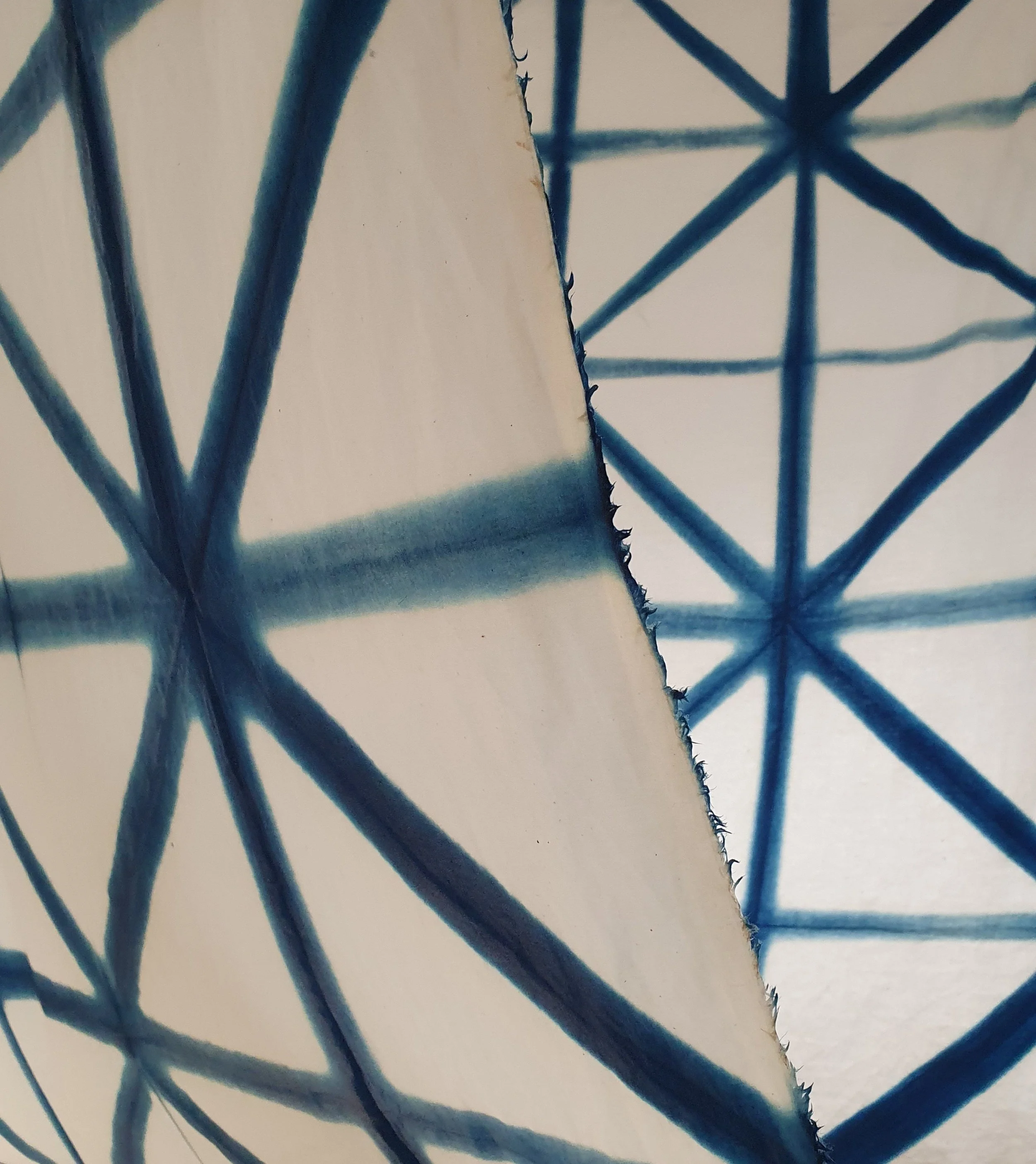 IMG_6311.jpeg (Copy)