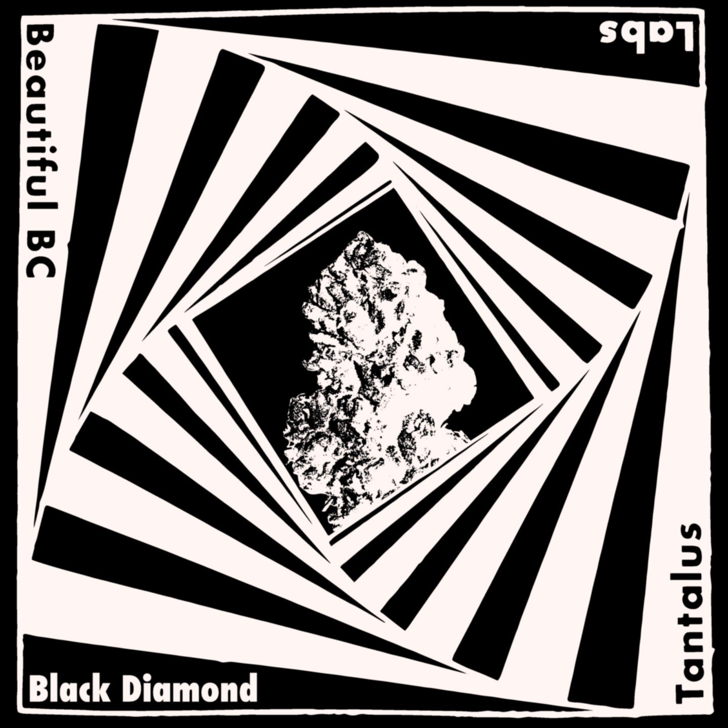 When the night peaks 🌝, Black Diamond shines. 🏔✨