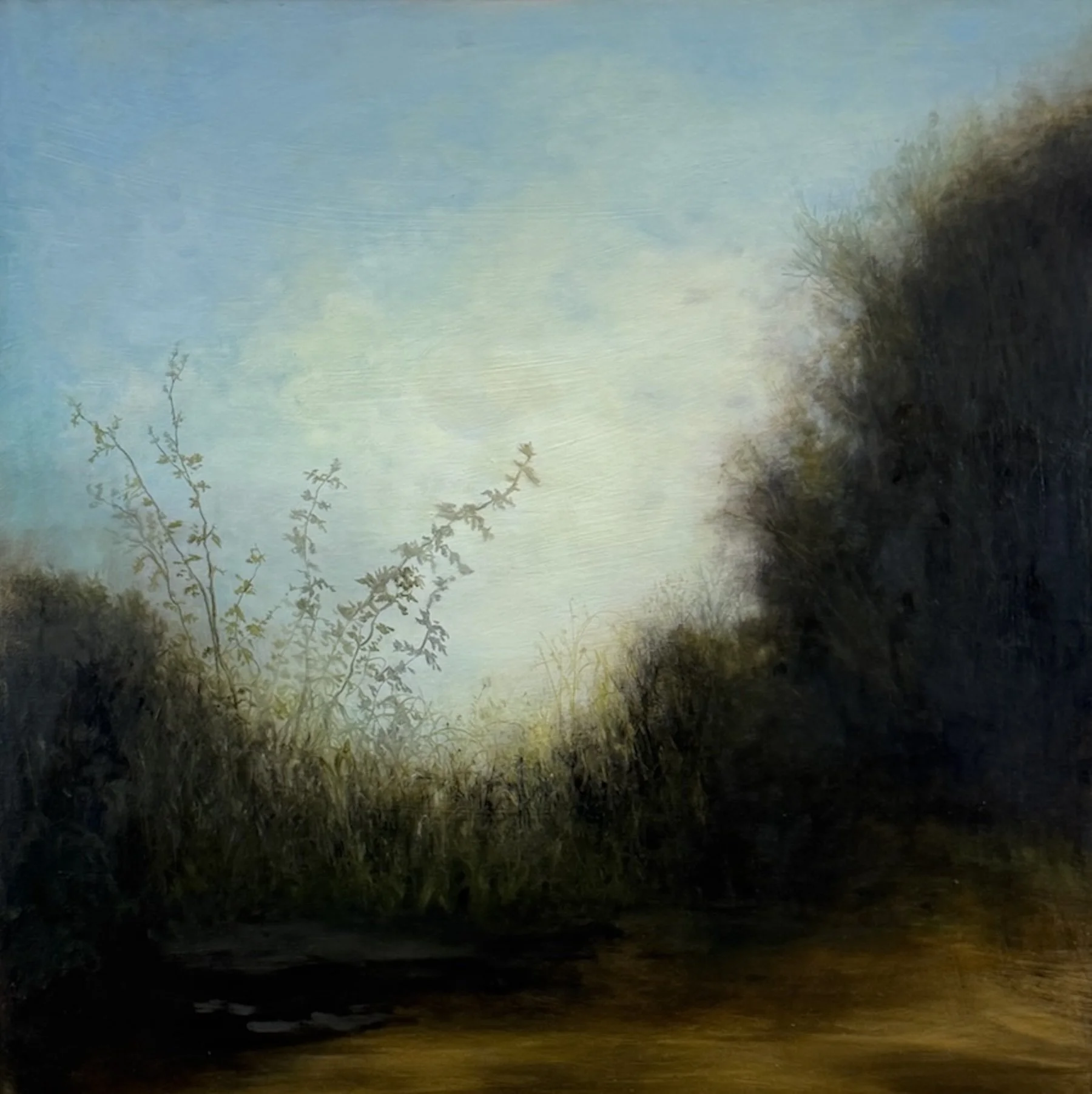 Edge of the Wood.Oil on panel.20x20".JPG