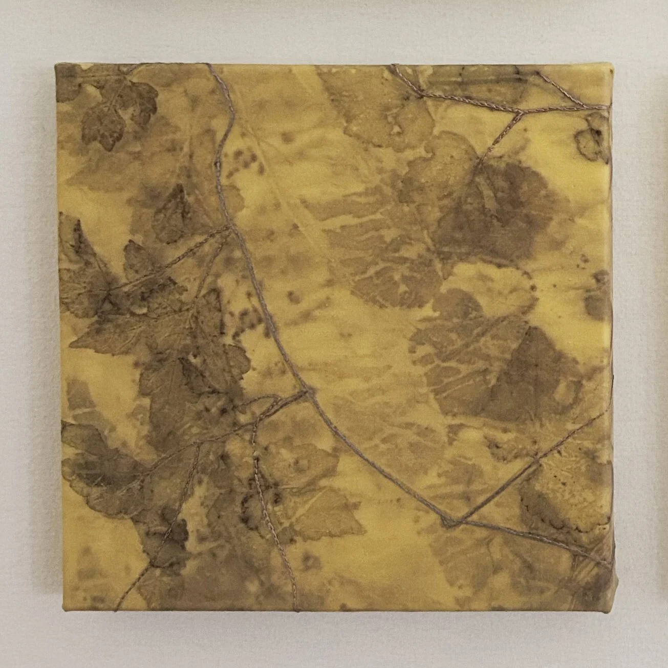 Entwined_IV_helleberg.jpg