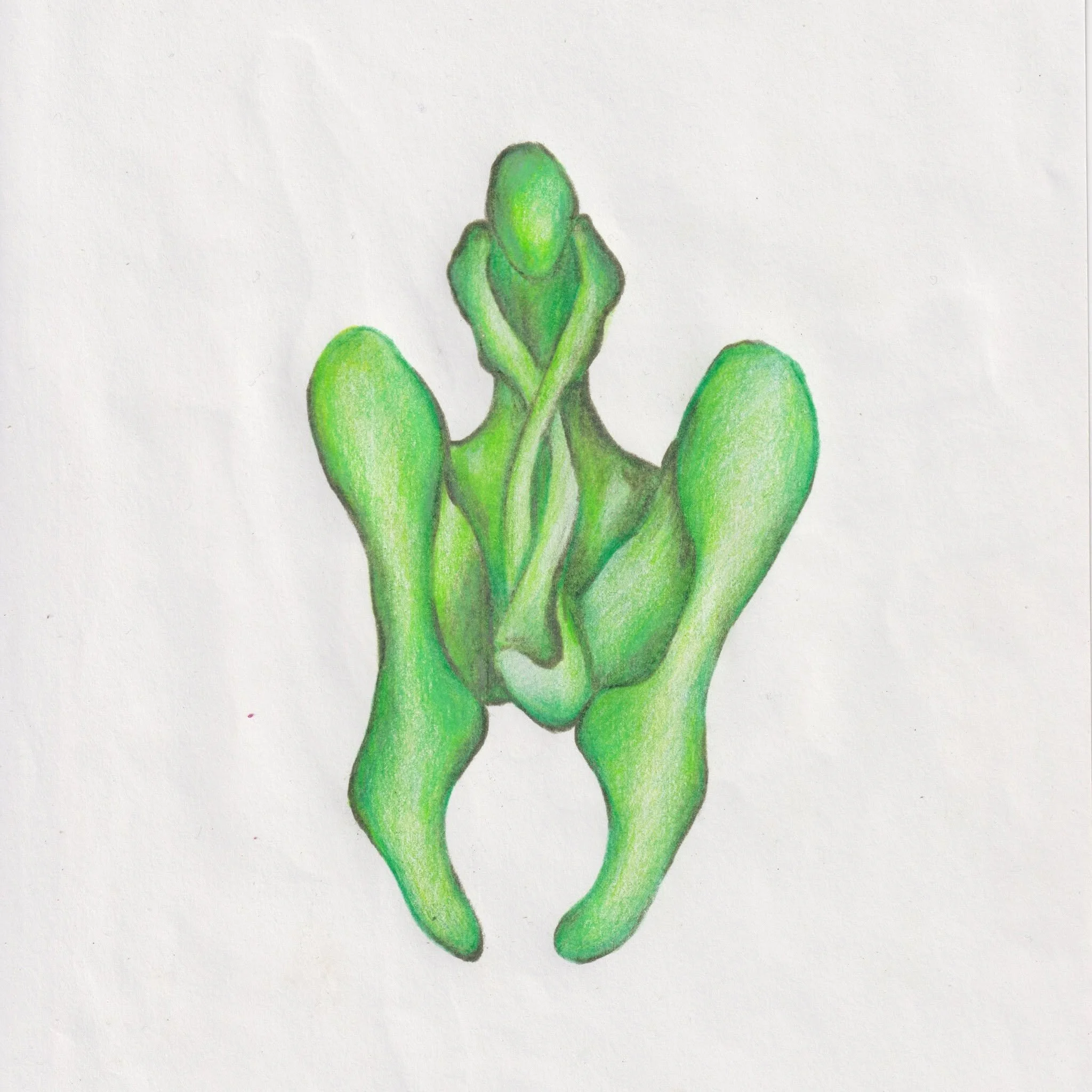 HILL_2026_GREEN_colored pencil on paper_8 x 8 inches - Malinda Ann Hill.jpg