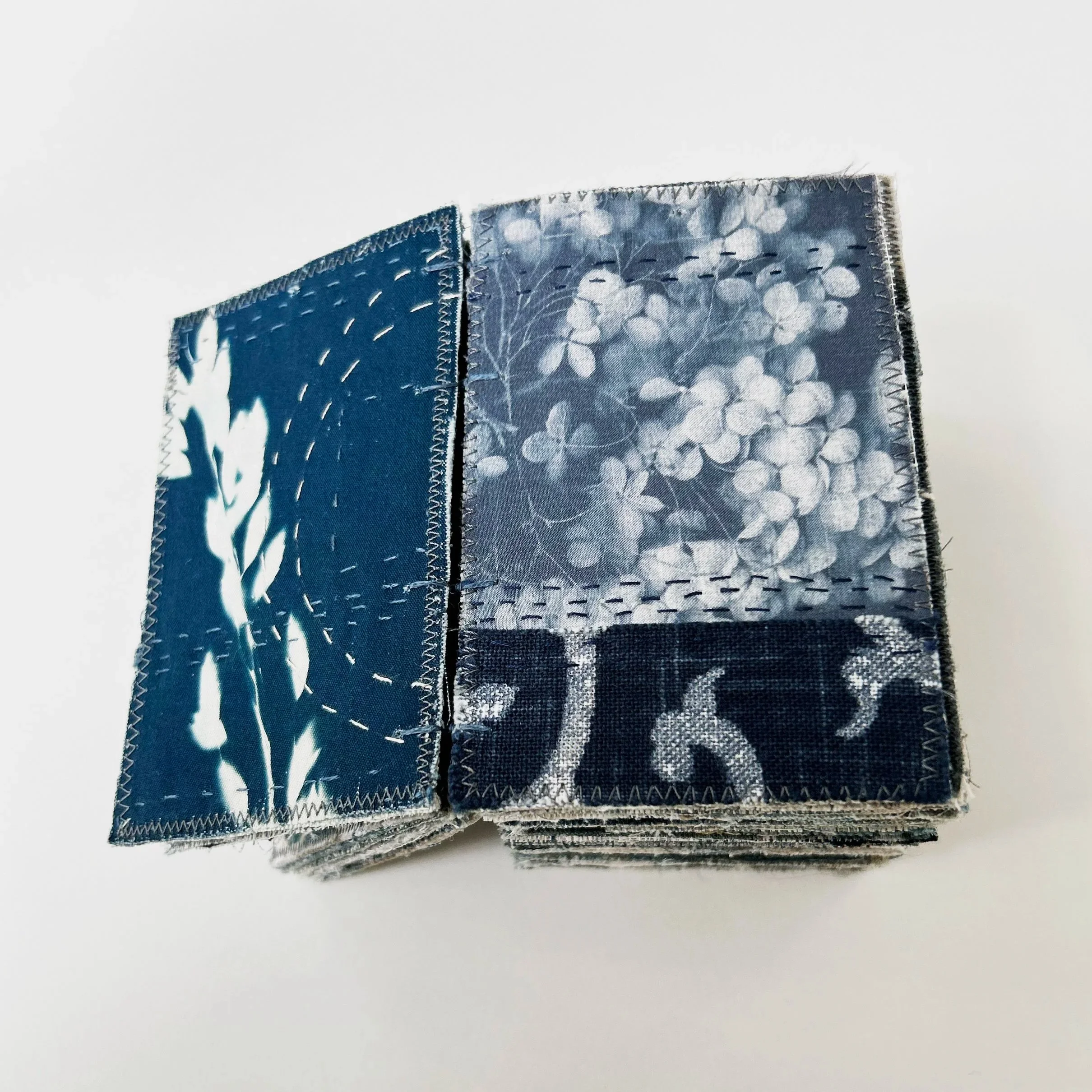 Blue_book_det1_helleberg.jpg