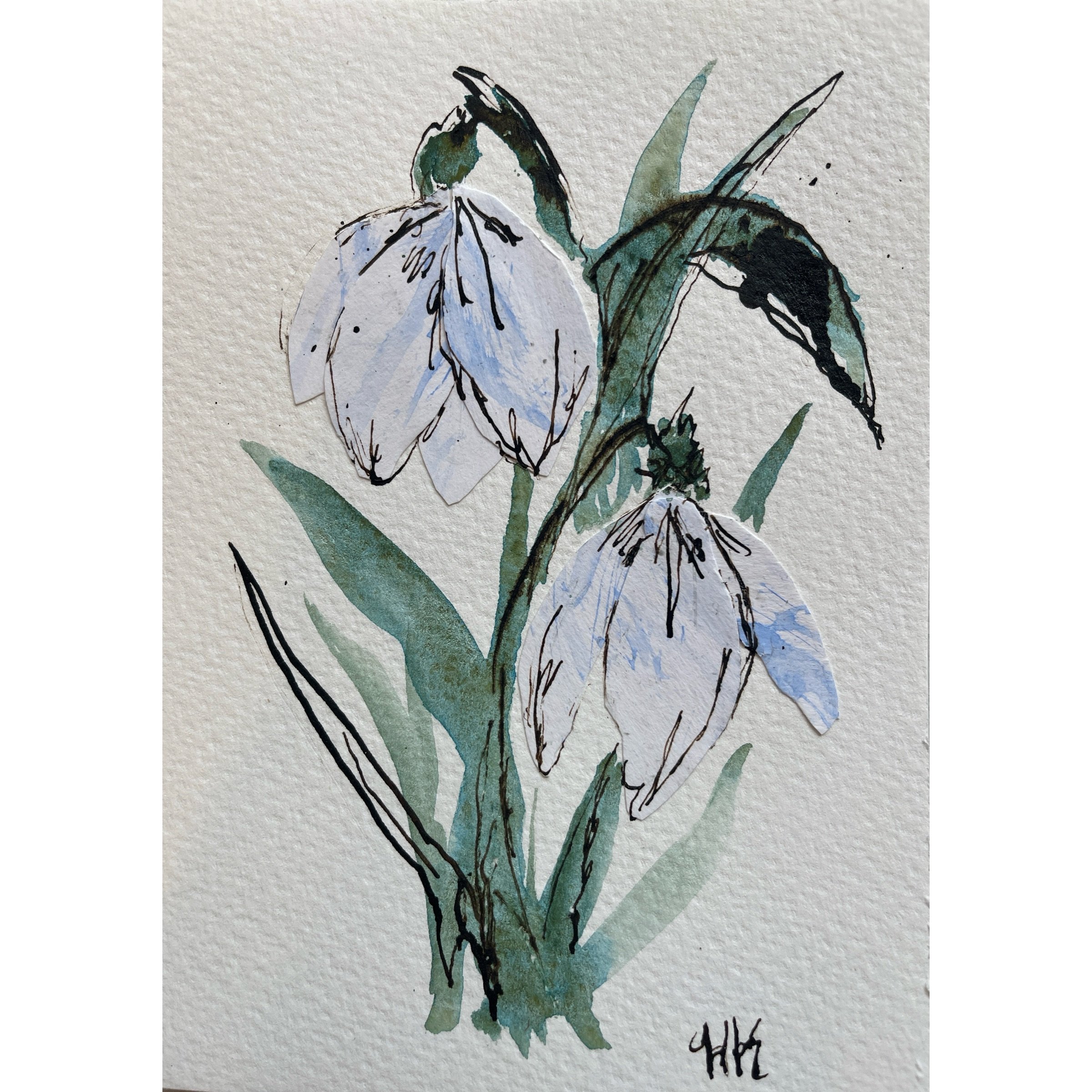 Photo Mar 01 2026, 8 36 40 PM.jpg