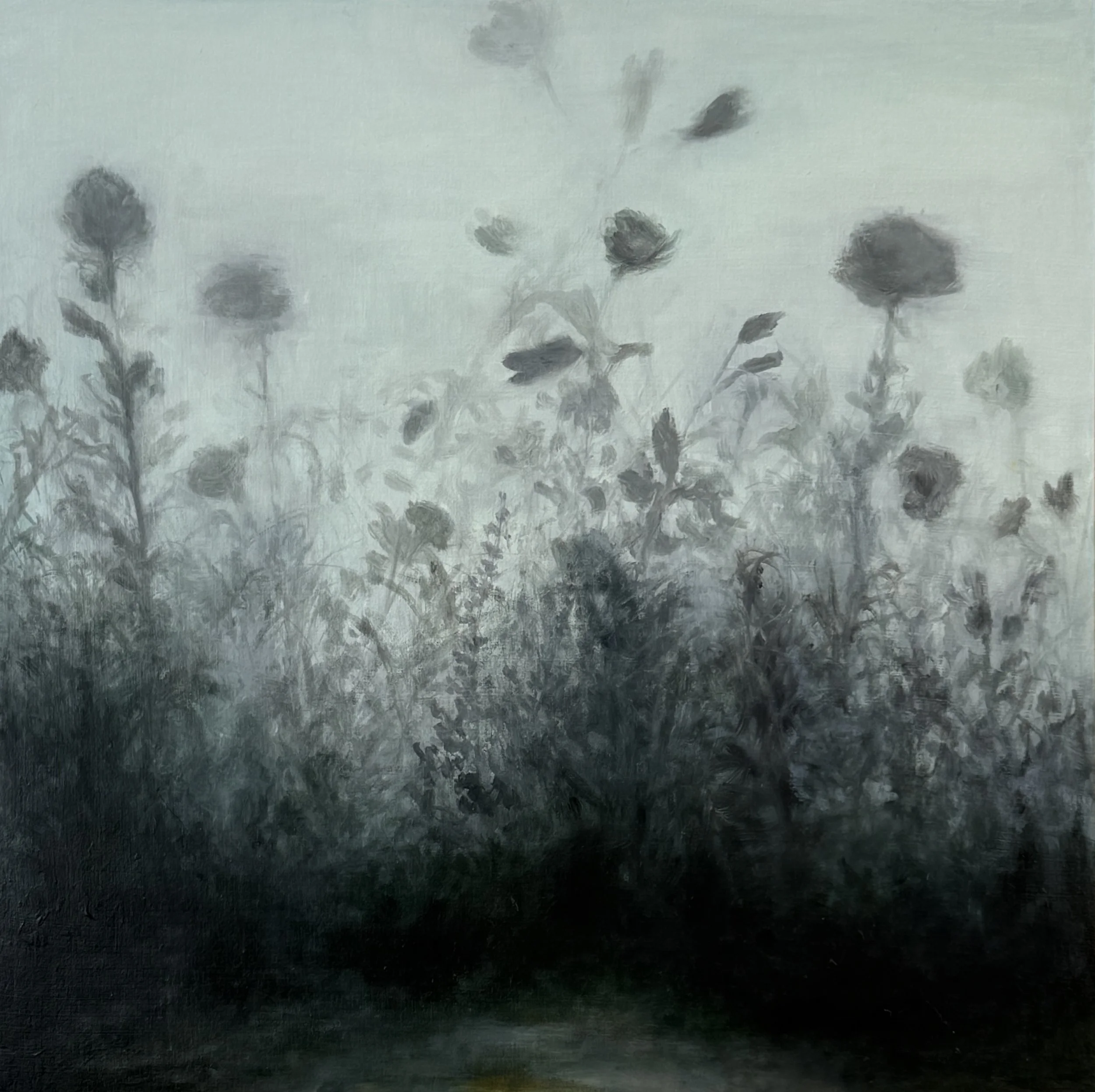 Wild Garden, Oil on panel, 12x12_.JPG