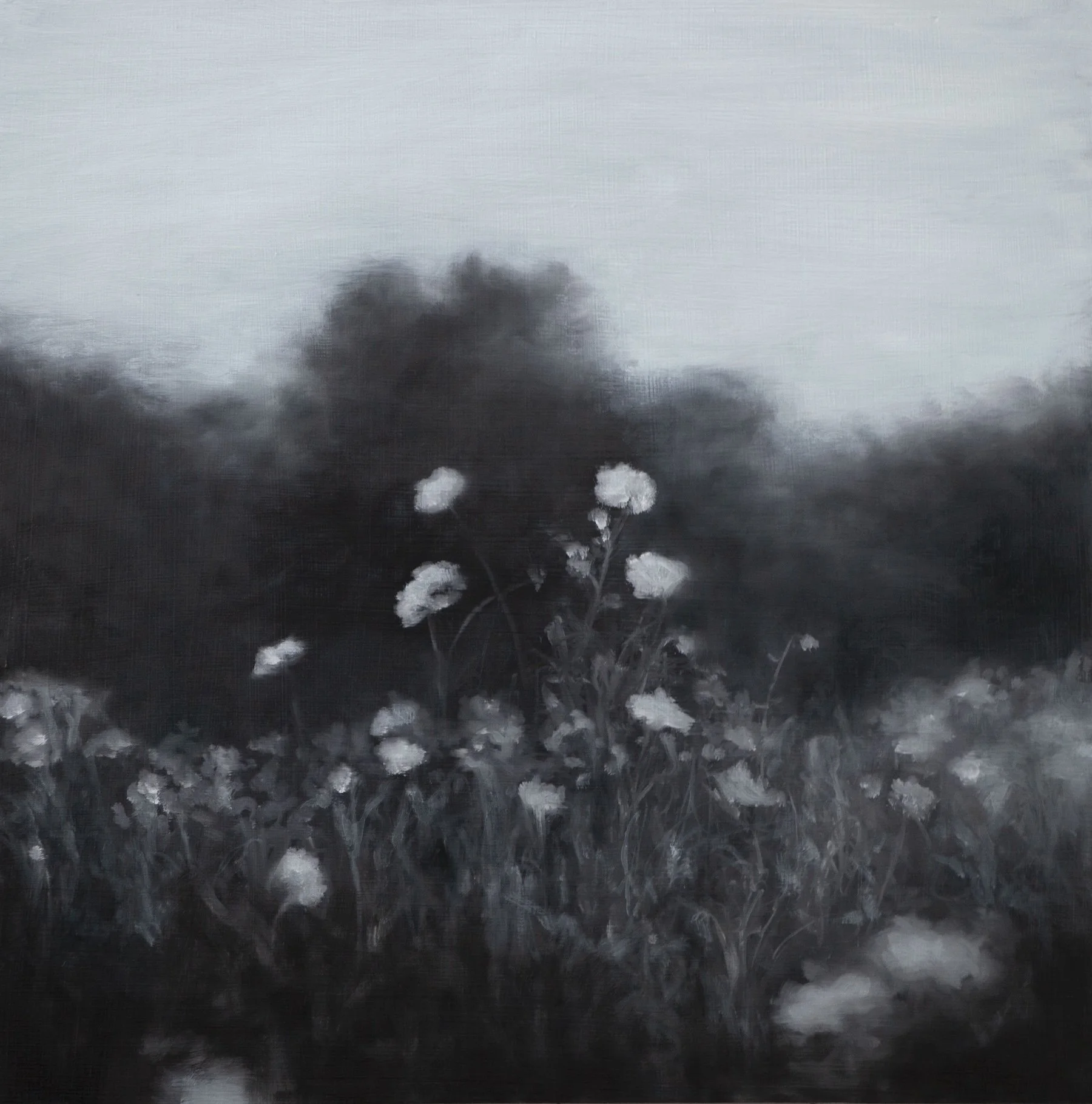 Summer Field.Oil on panel.12x12".1.jpg