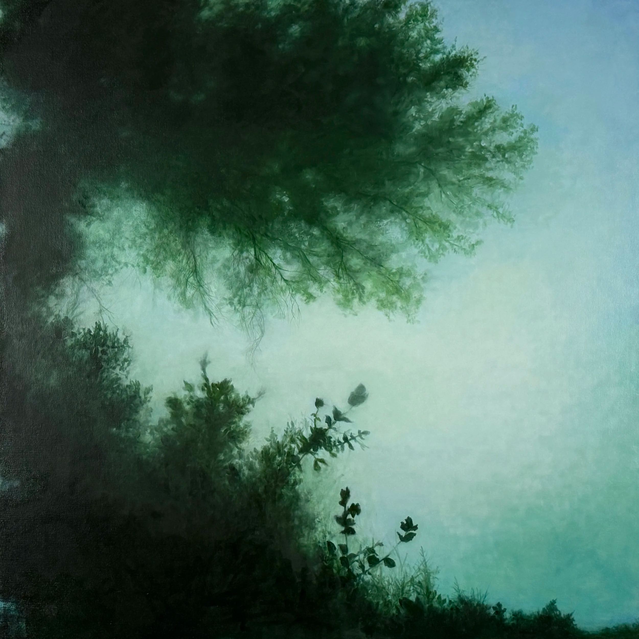 Giselle Gautreau Through the Canopy