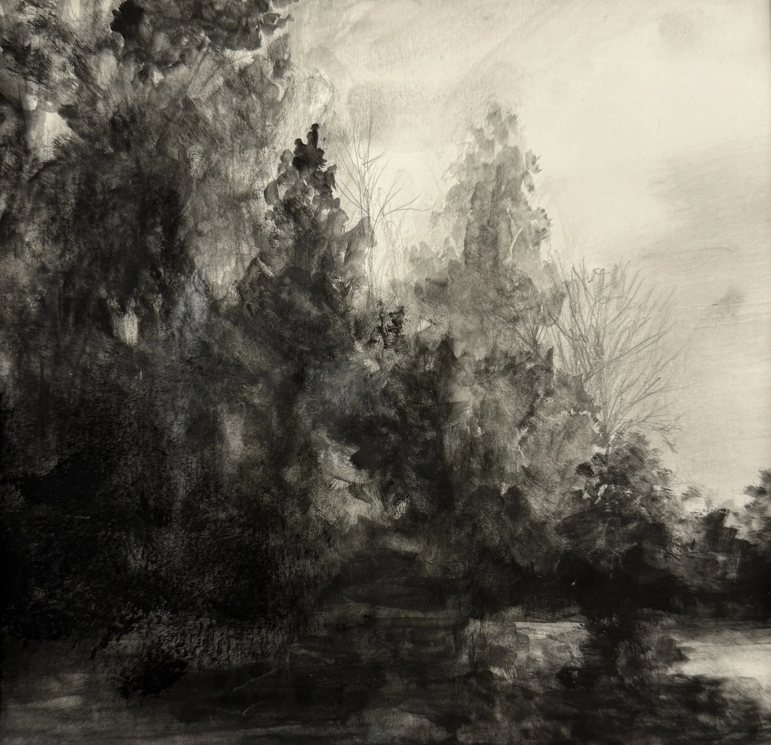 Refuge, Charcoal on paper, 8x8_ .jpeg