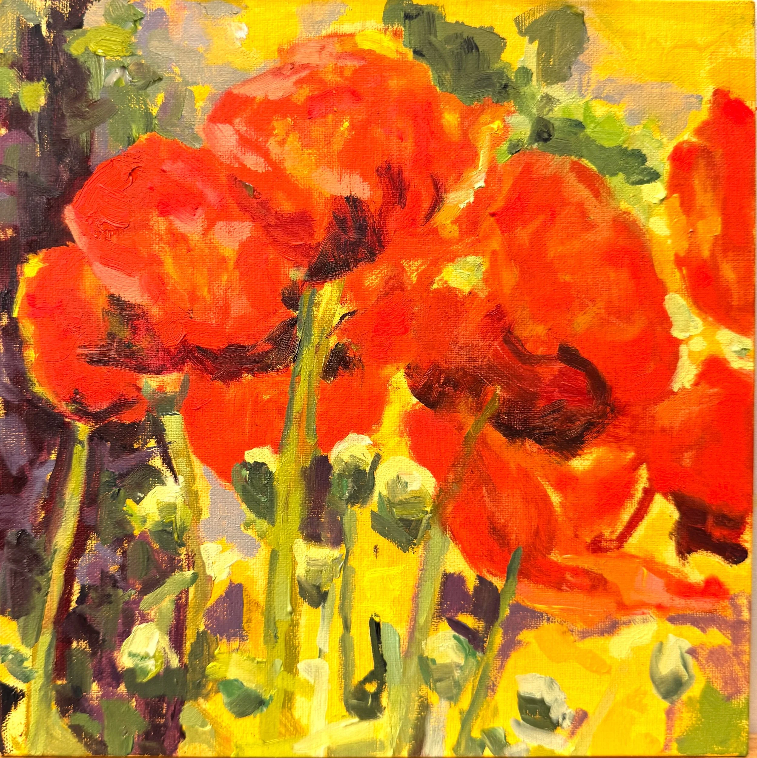 Grant_Poppy 1_2026_0il 0n canvas_8x8 - Sallie Grant.jpg