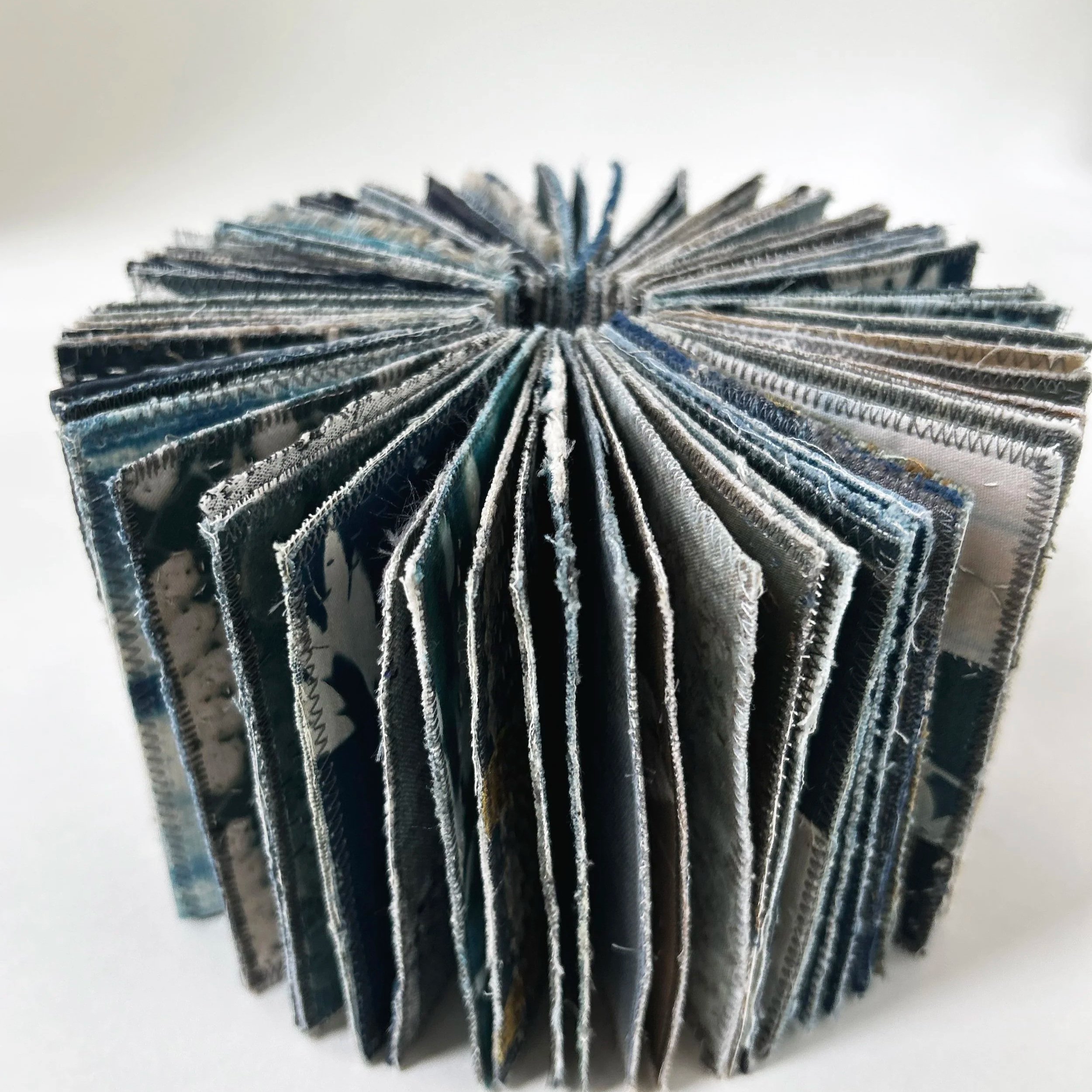 Blue_book_det2_helleberg.jpg
