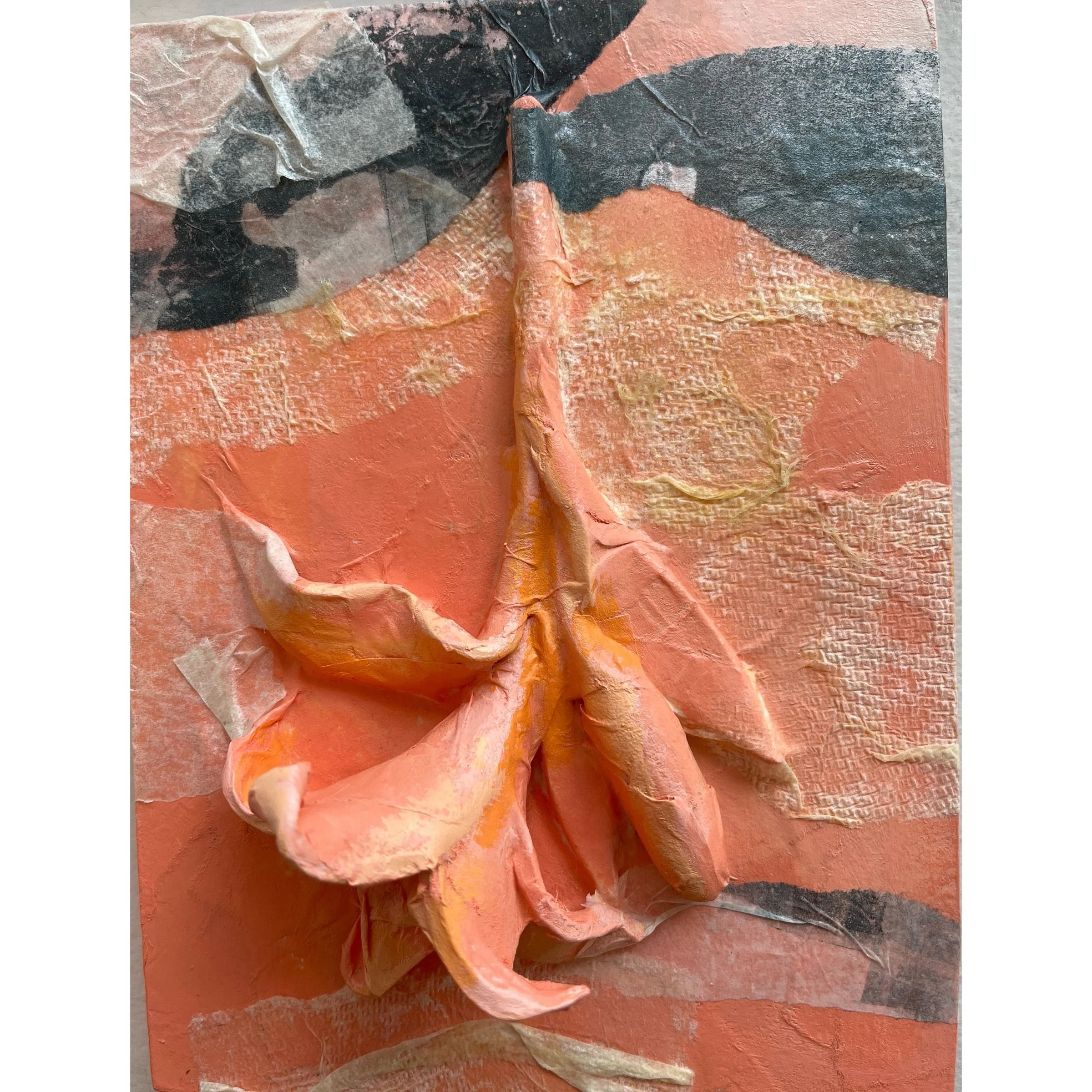 Photo Feb 27 2026, 11 10 40 PM.jpg