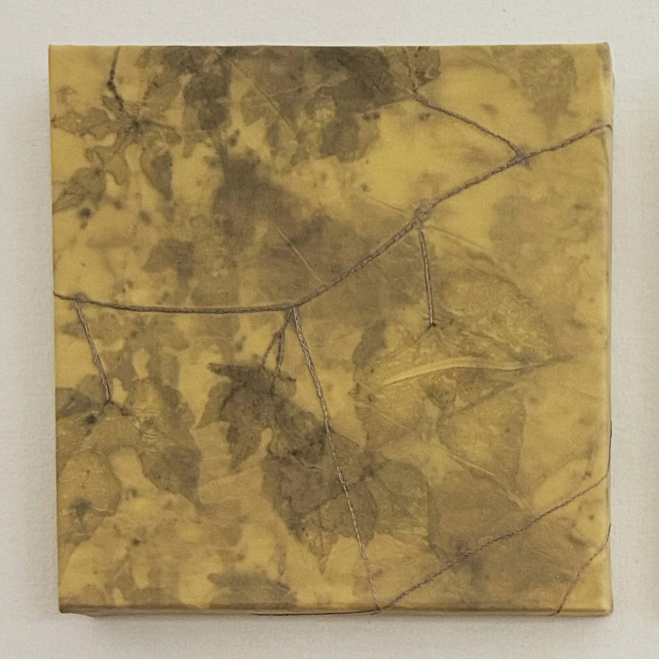 Entwined_I_helleberg.jpg