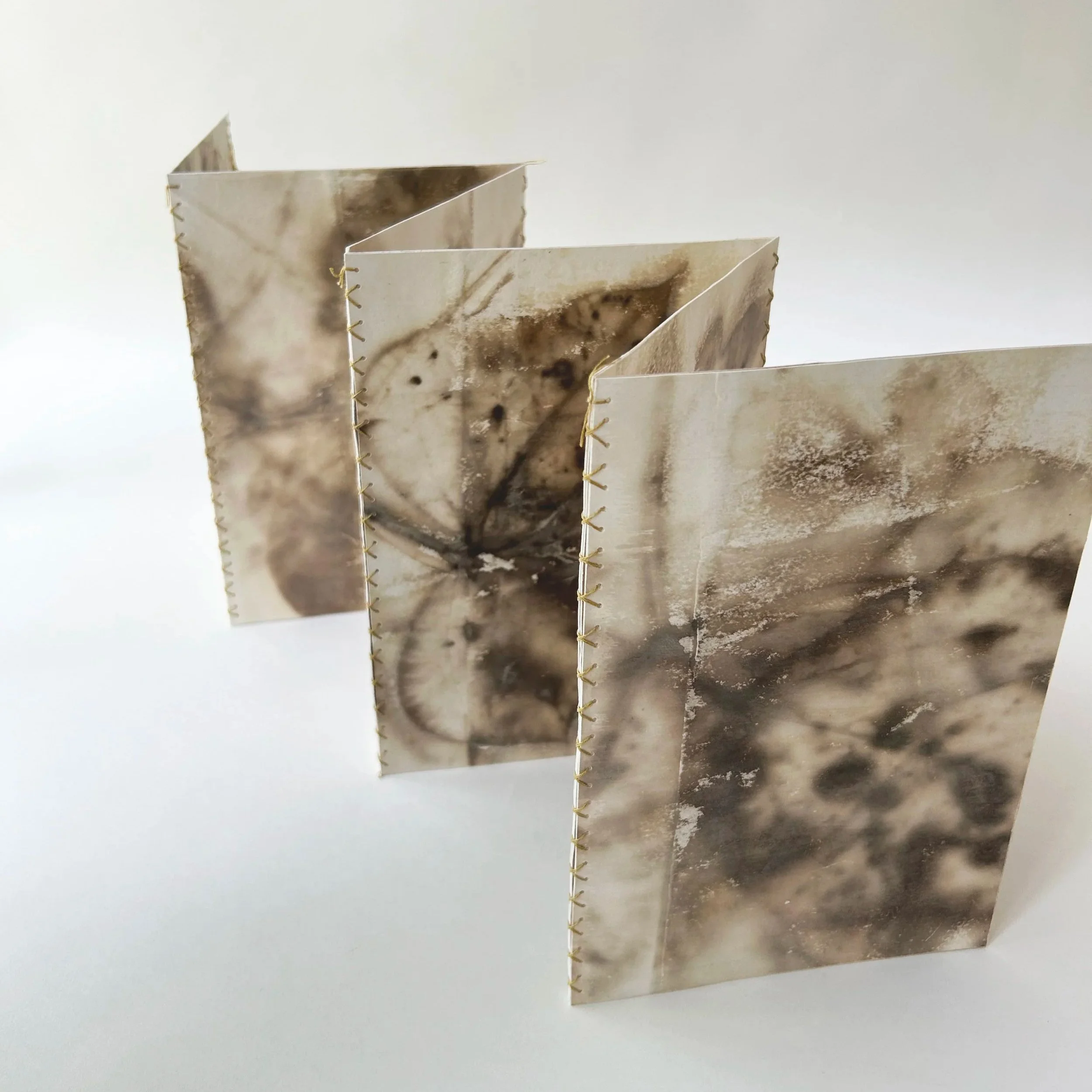 The+vine+that+ate+the+south_side1__helleberg.jpg
