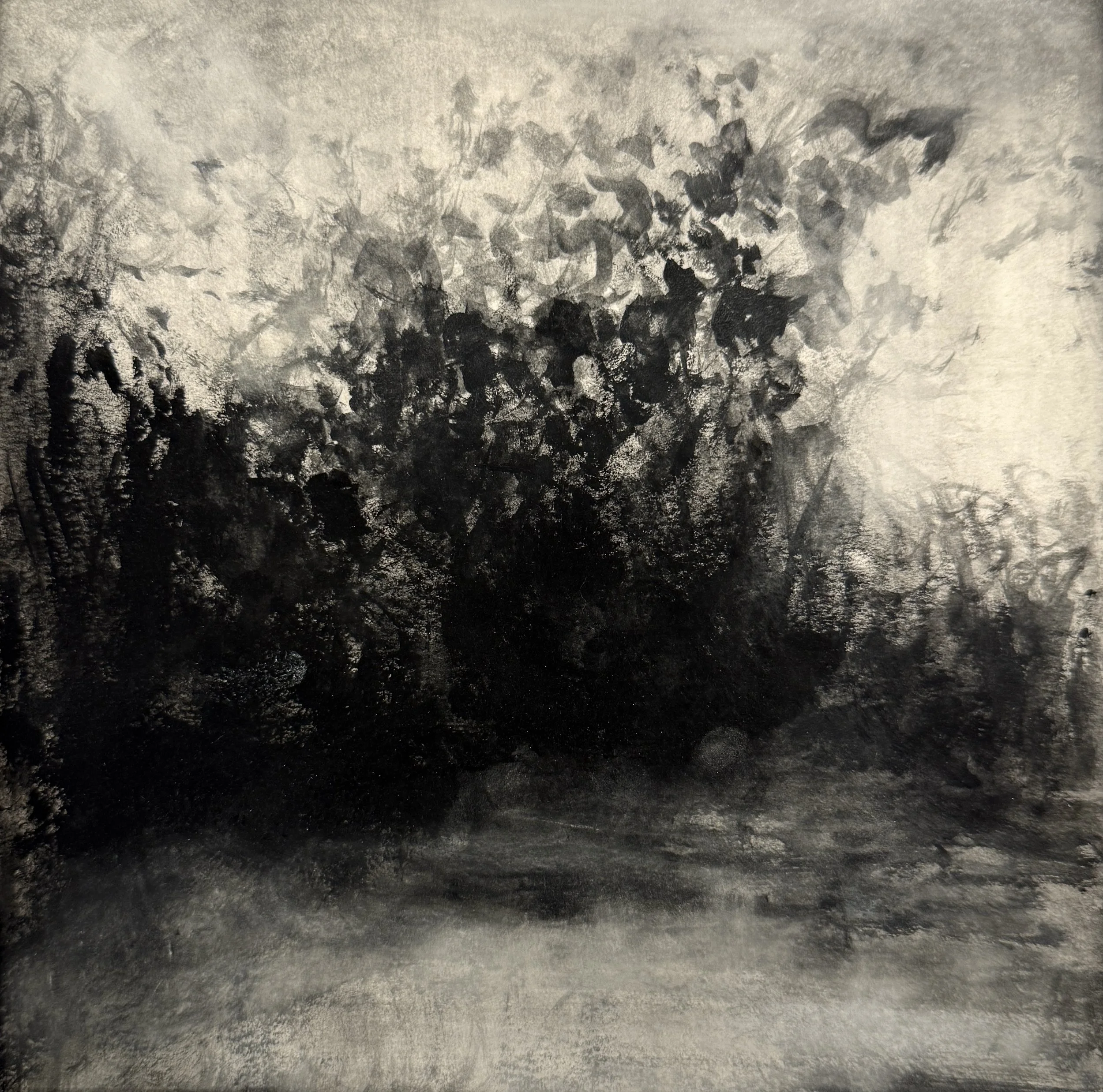 Along the Trail, Charcoal on paper, 8x8_, .jpeg