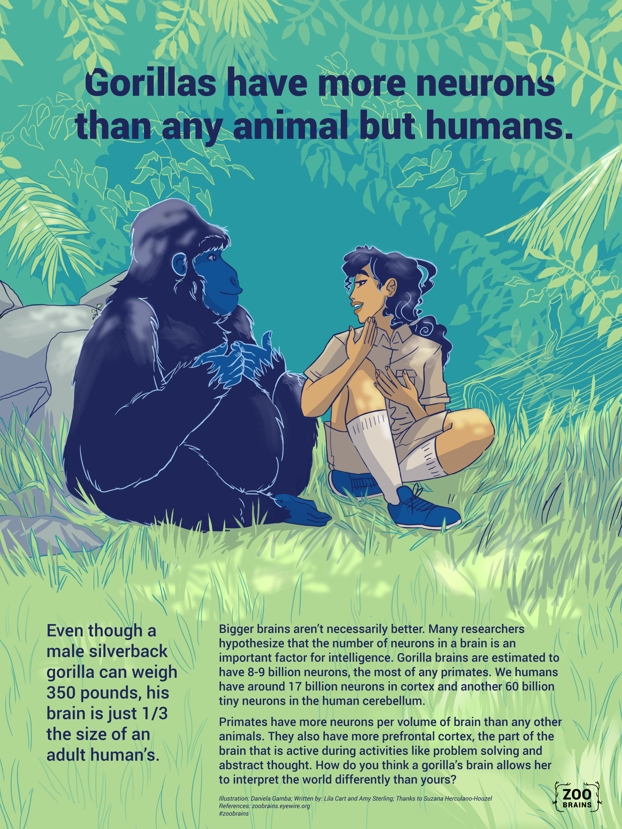 gorilla-eyewire-2k.png