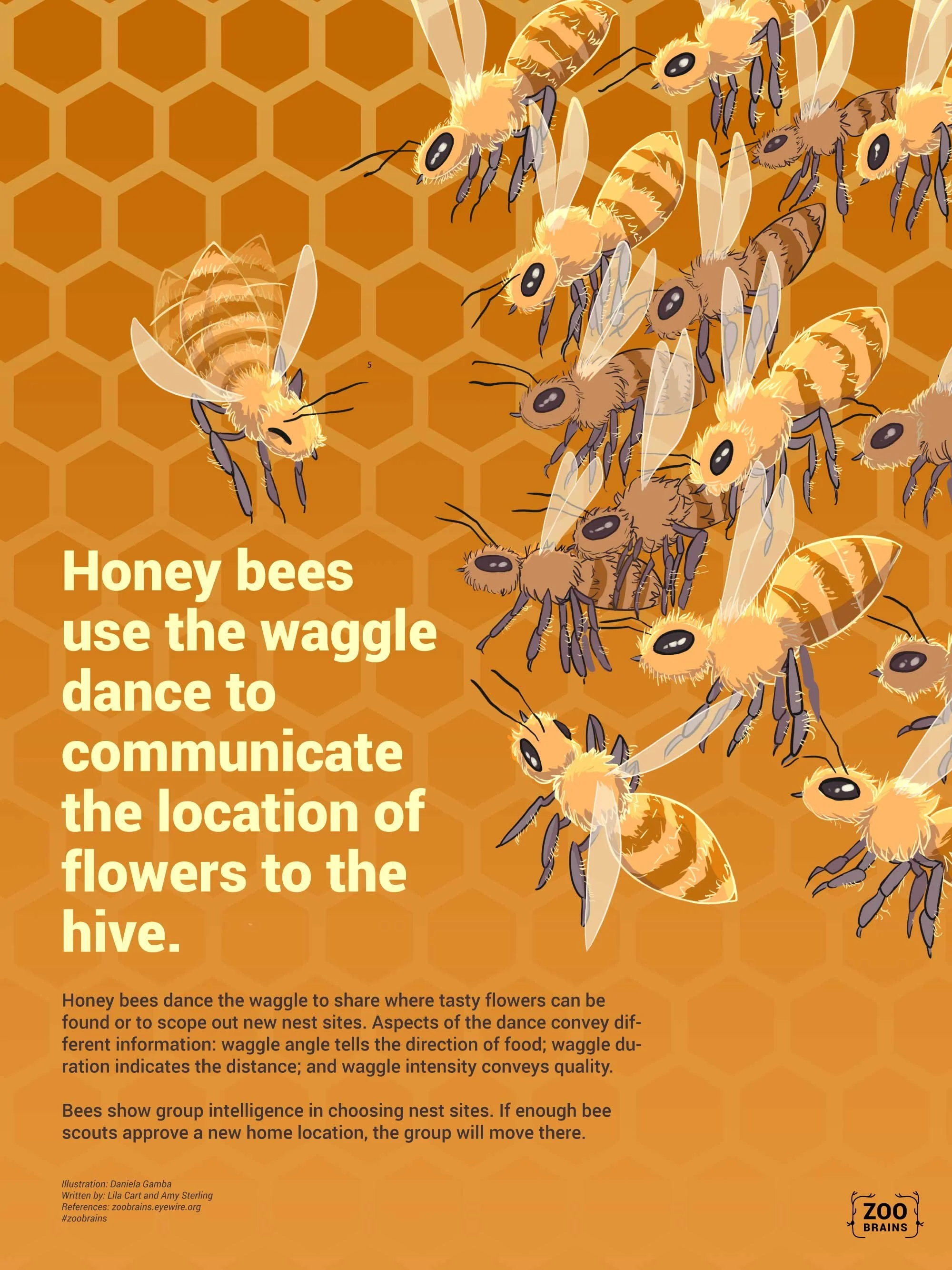 Eyewire-Bee-Poster-2K.jpg