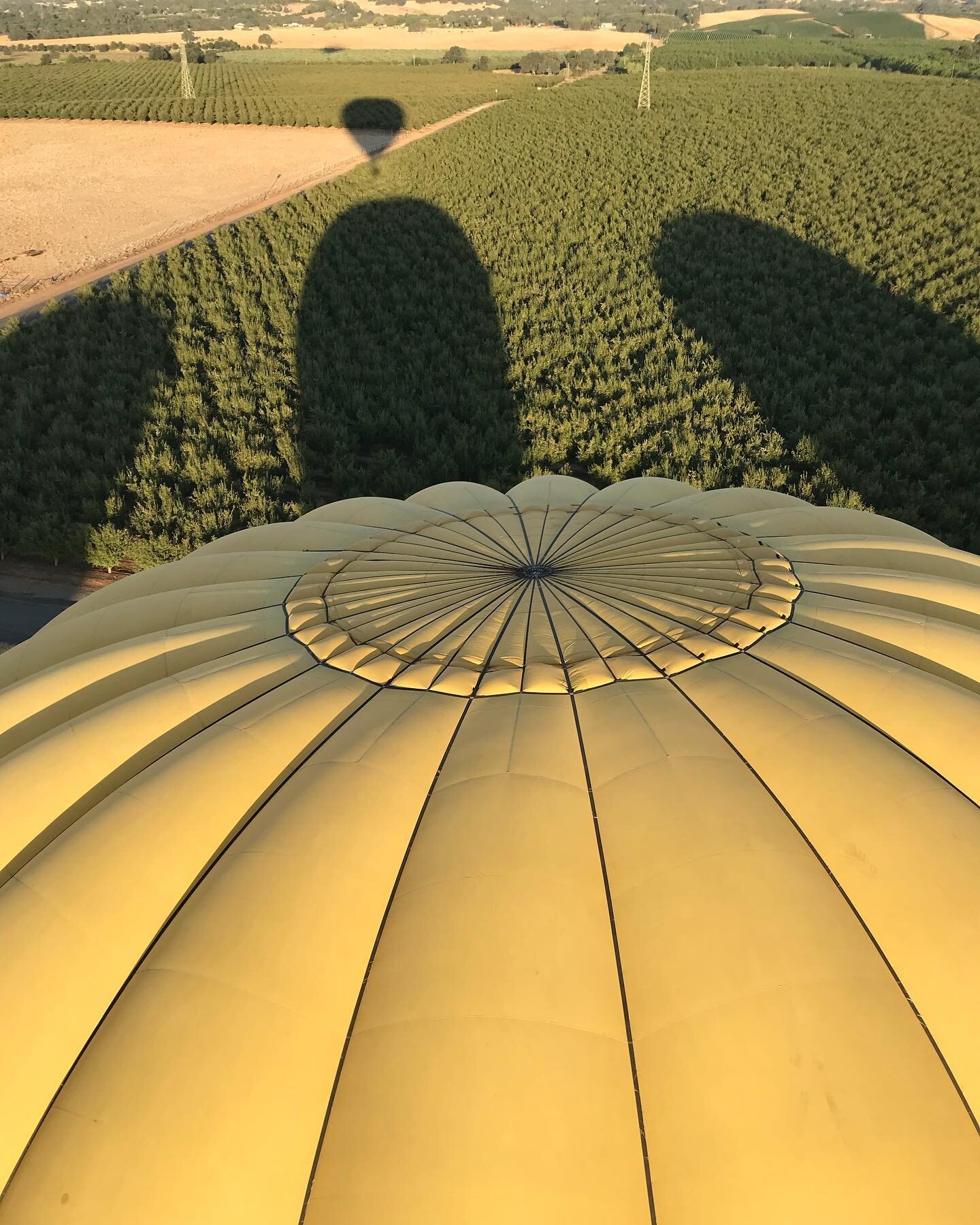 balloon fields.jpeg