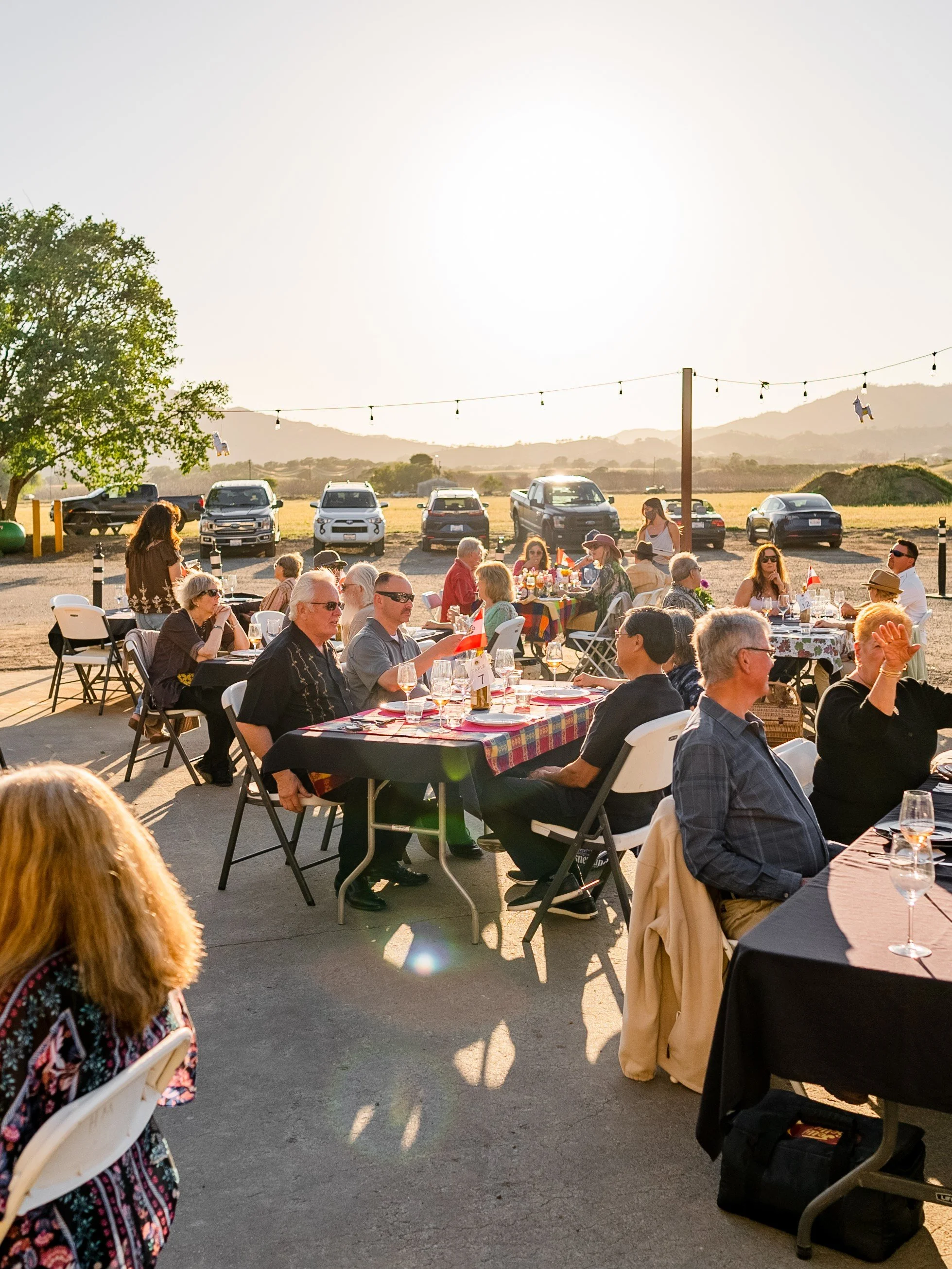 Berryessa Gap Czech Dinner Global Dinner Series — Discover Winters