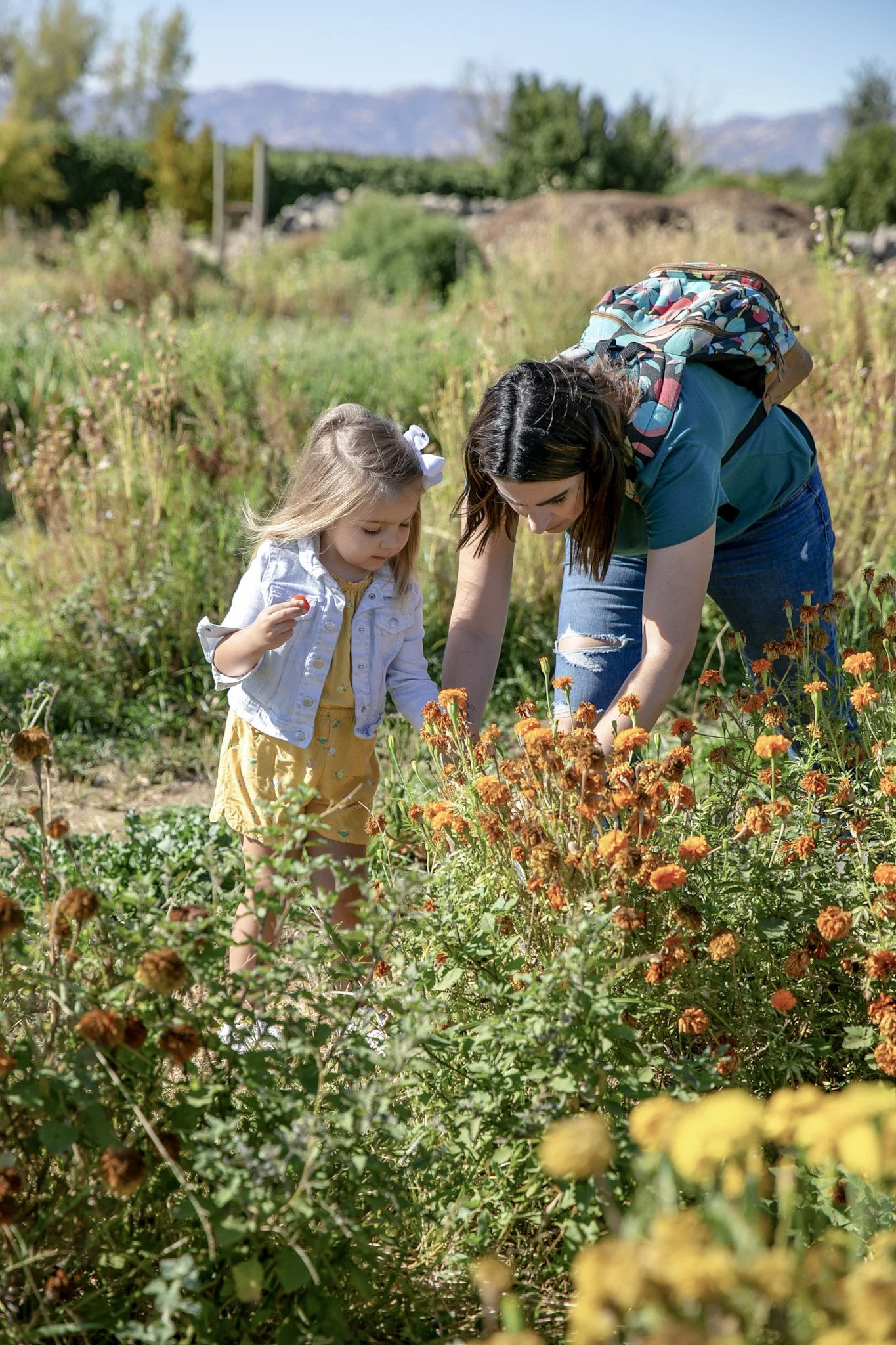 Family-Friendly Spring Itinerary in Winters, CA — Discover Winters