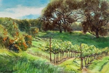 Oranges-Vines.jpeg