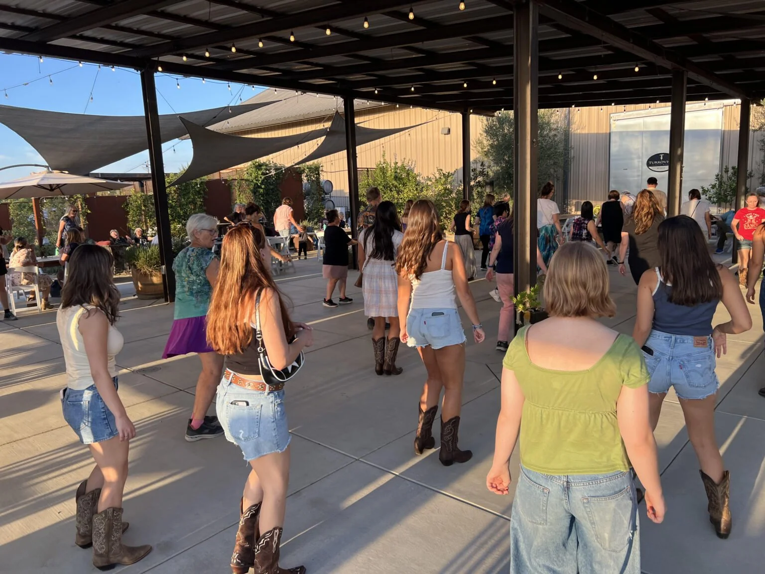 Line Dancing at Turkovich Farm & Winery