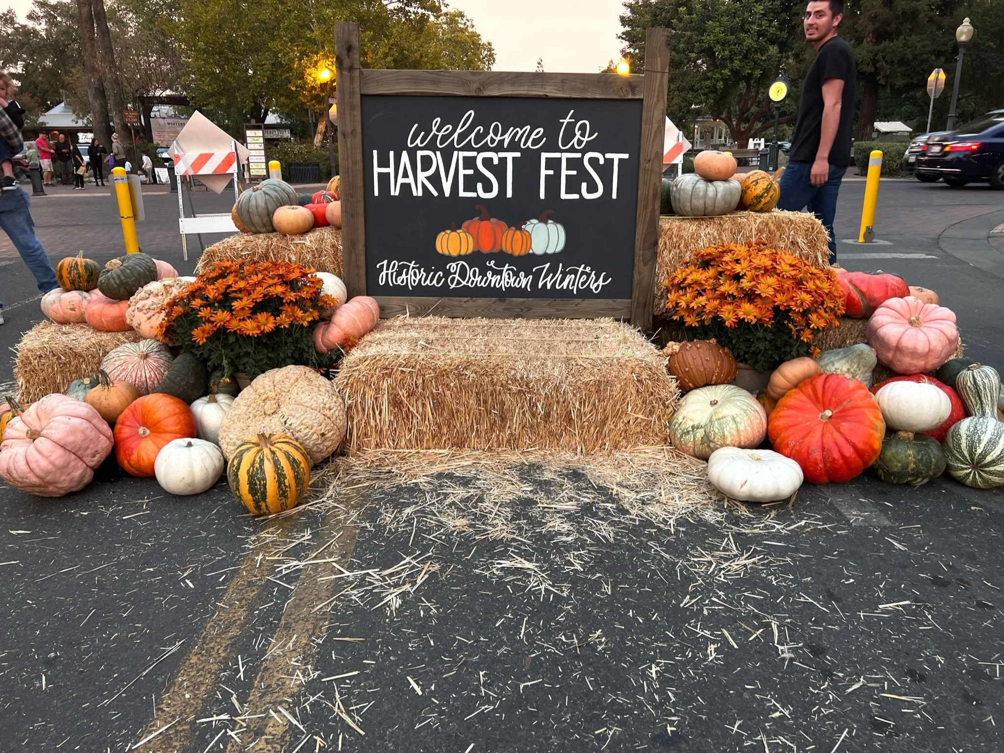 Harvest Fest