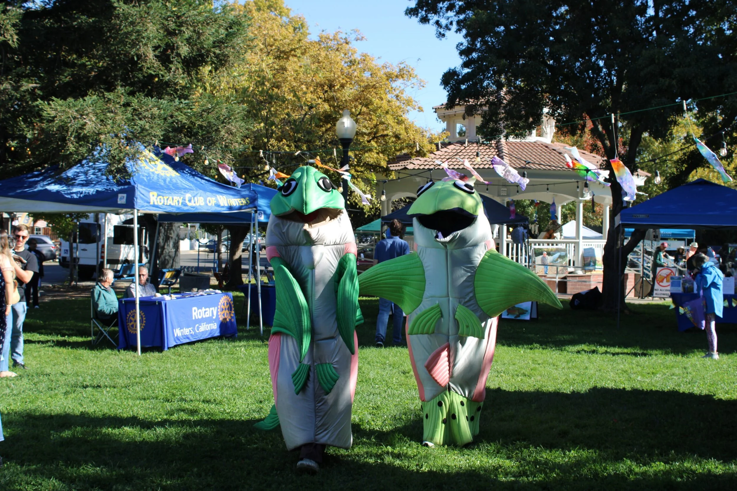 9th Annual Winters Salmon Festival 
