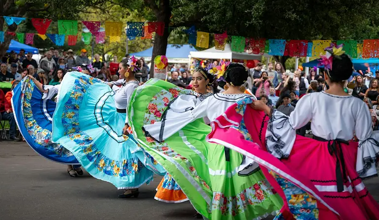 Festival de la Comunidad (Carnitas Festival)