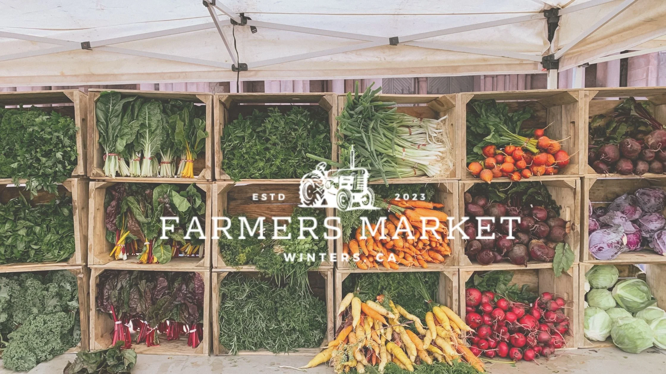 FARMERS MARKET — Discover Winters