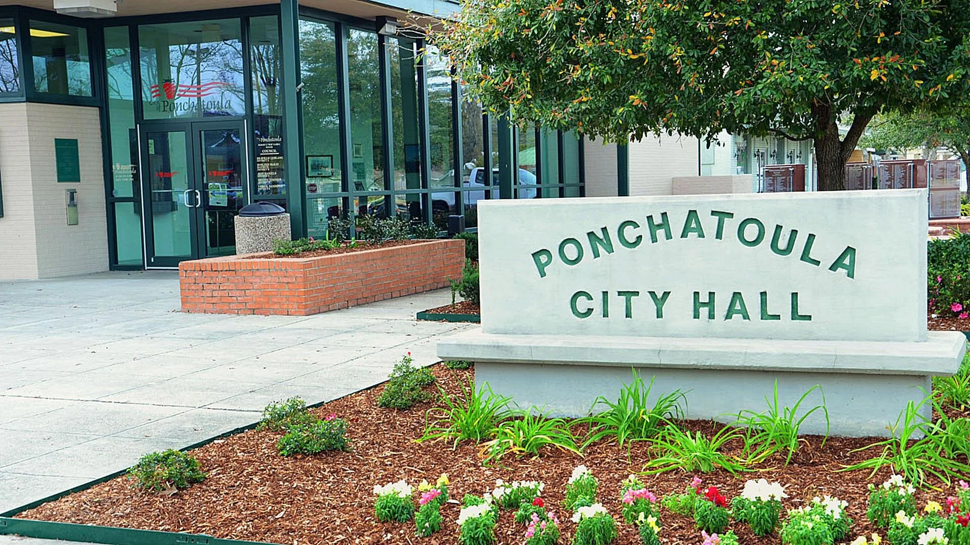 Tax Collections & Occupational Licenses — City of Ponchatoula