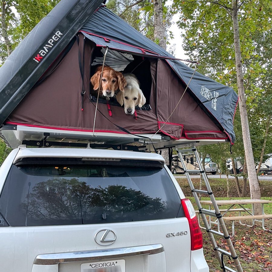 Sorry we&rsquo;ve been a little MIA insta friends!! We&rsquo;ve been settling into our new home and adjusting to no longer owning the van. In the meantime we&rsquo;ve been taking on adventures in our new rooftop tent. ⛺️ 

Currently, we&rsquo;re putt